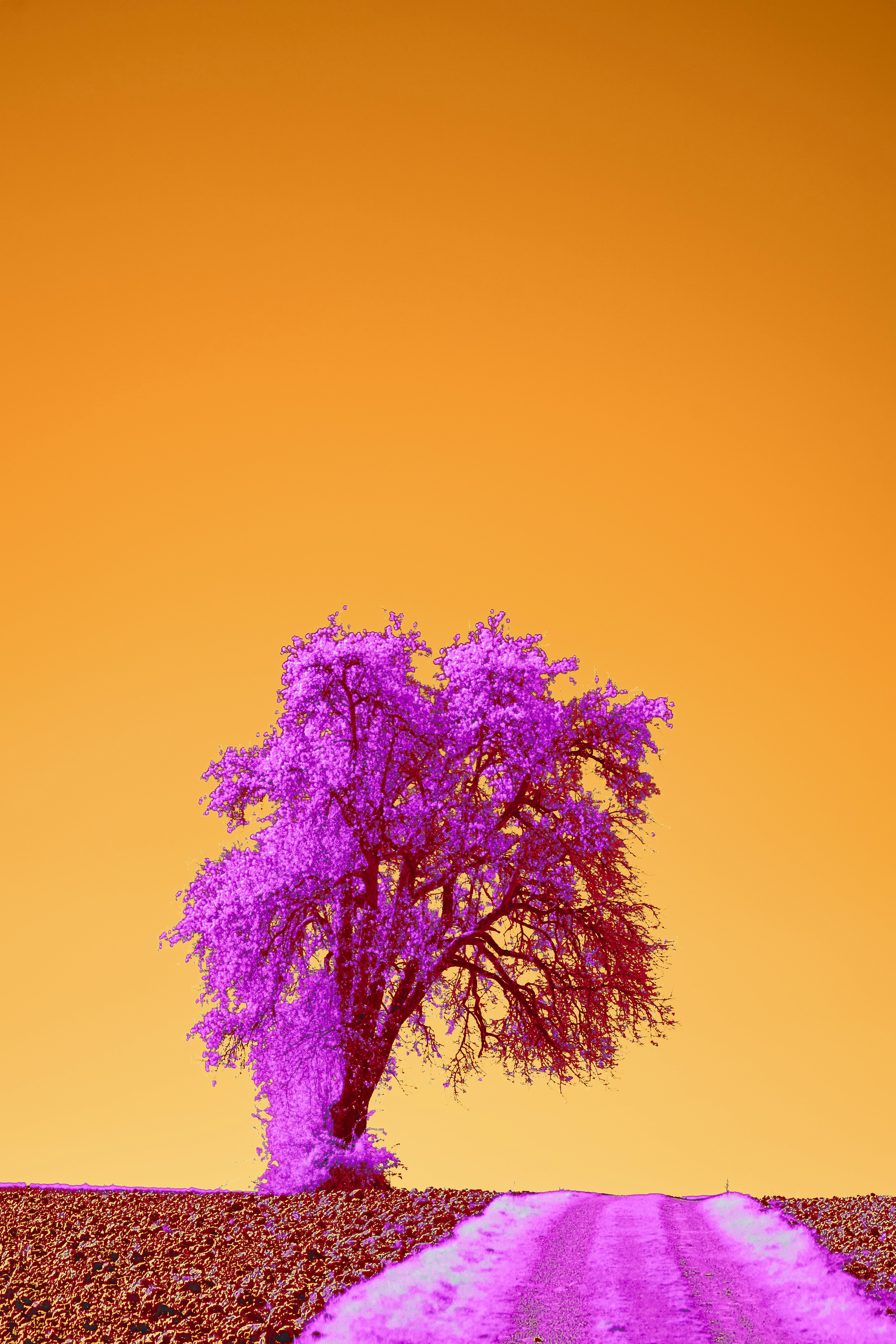 Photo by wolfgang_hasselmann