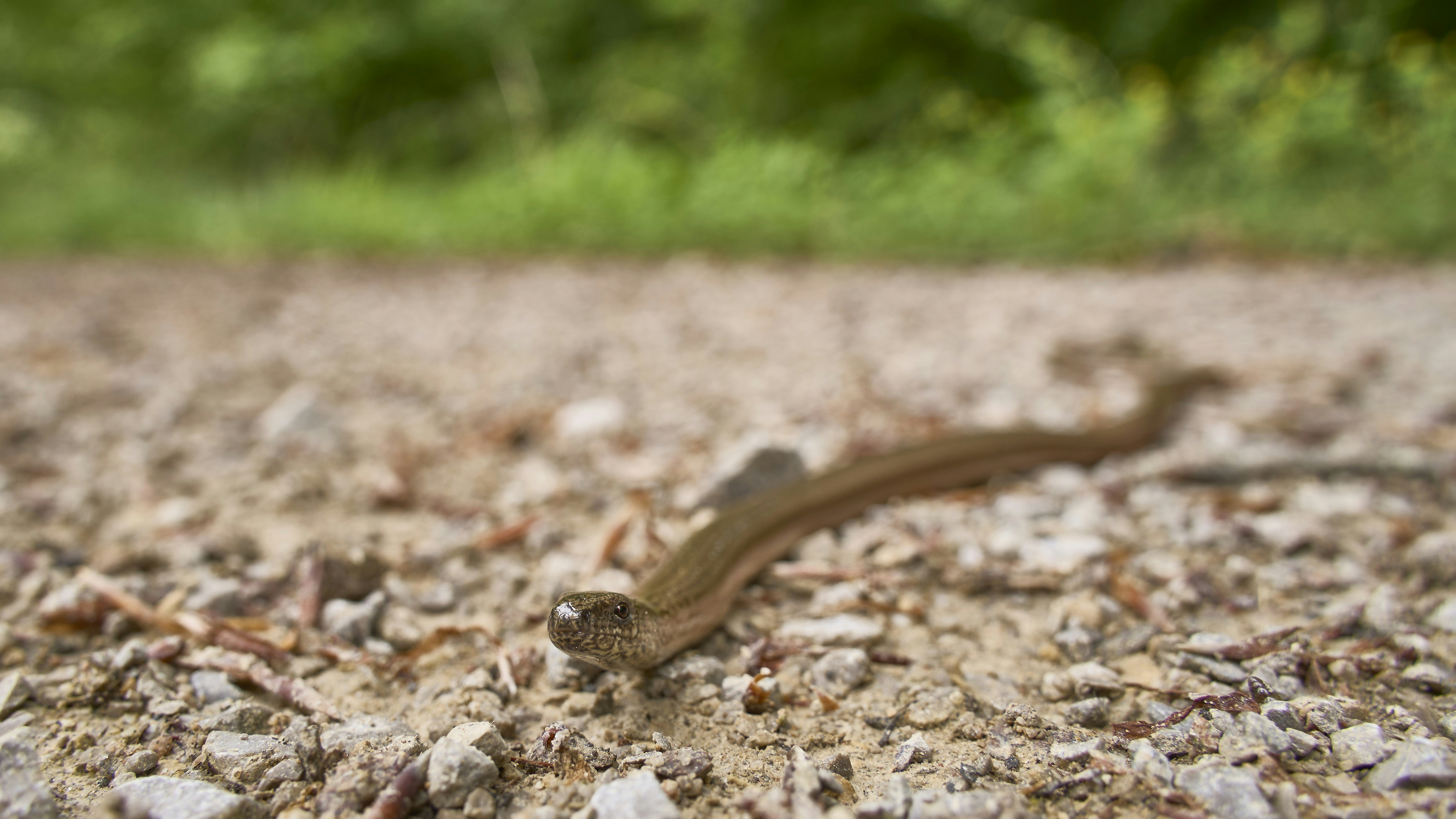 Photo by wolfgang_hasselmann