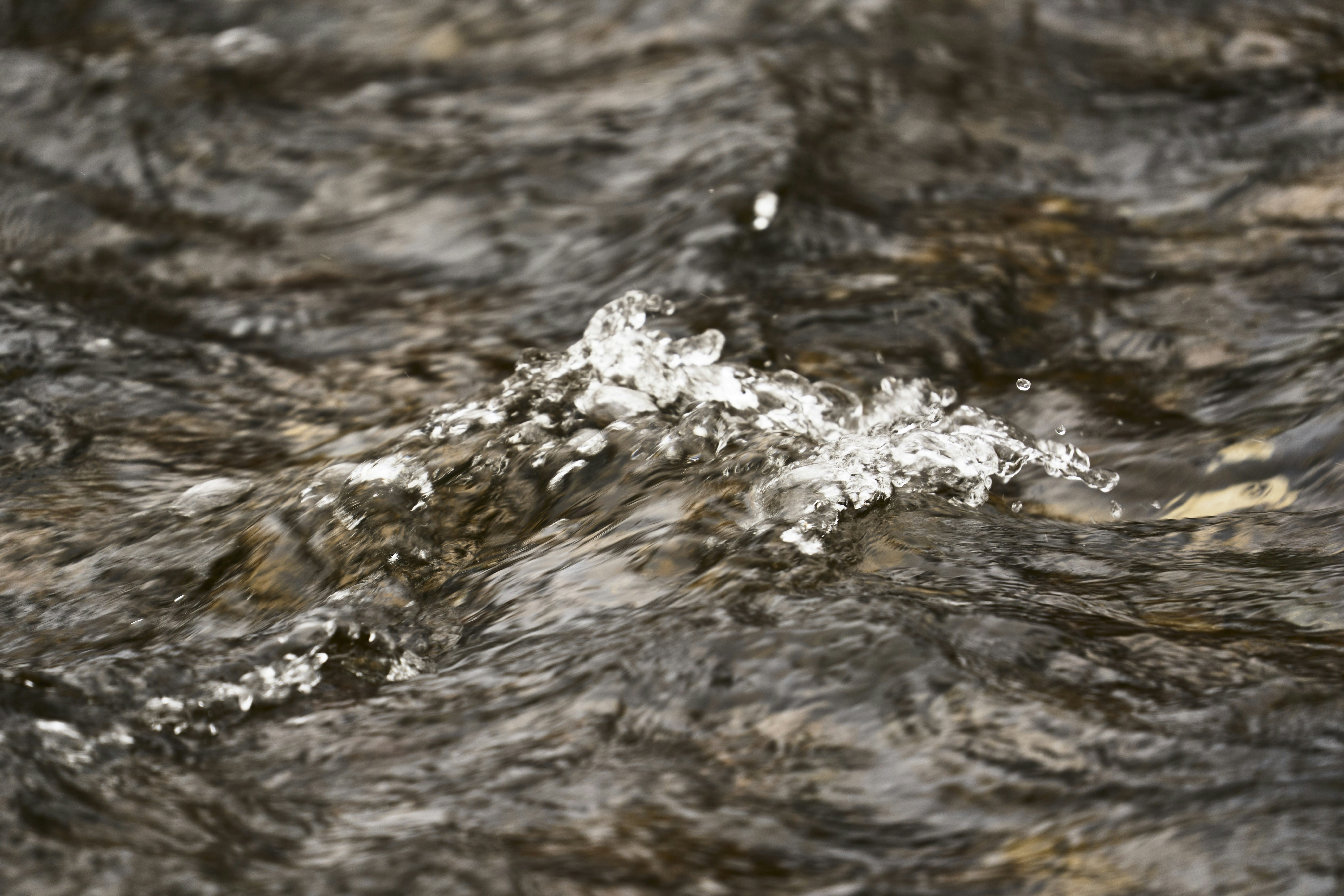 Photo by wolfgang_hasselmann