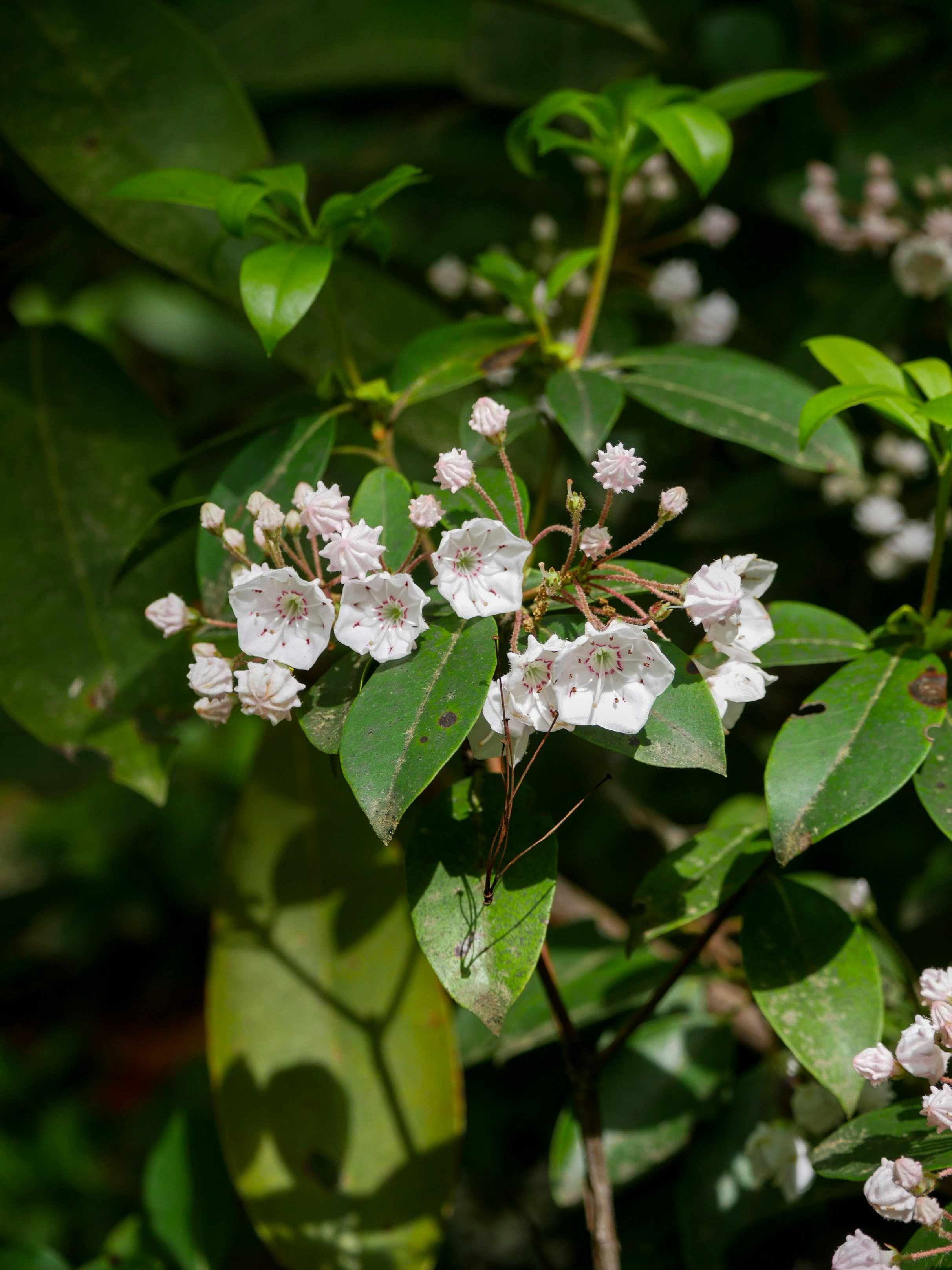 Photo by sophiadidonato