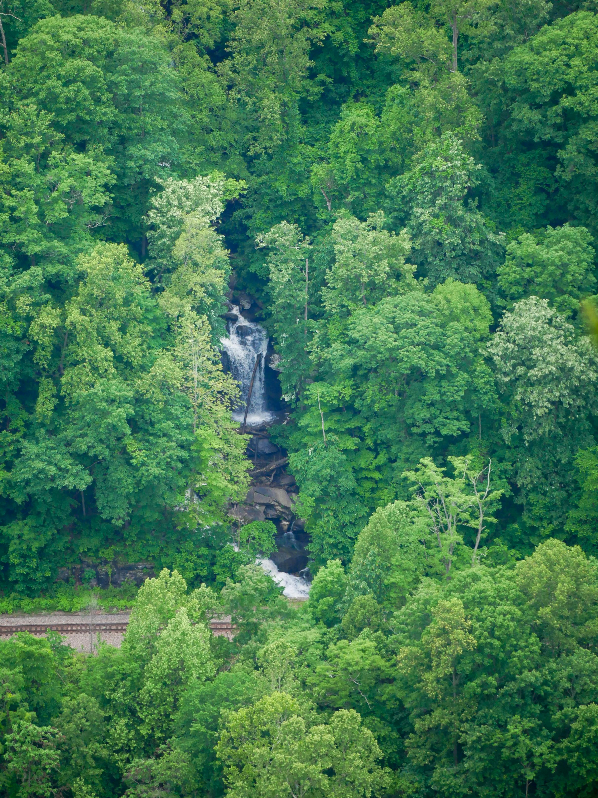 A waterfall flows through lush, green trees.