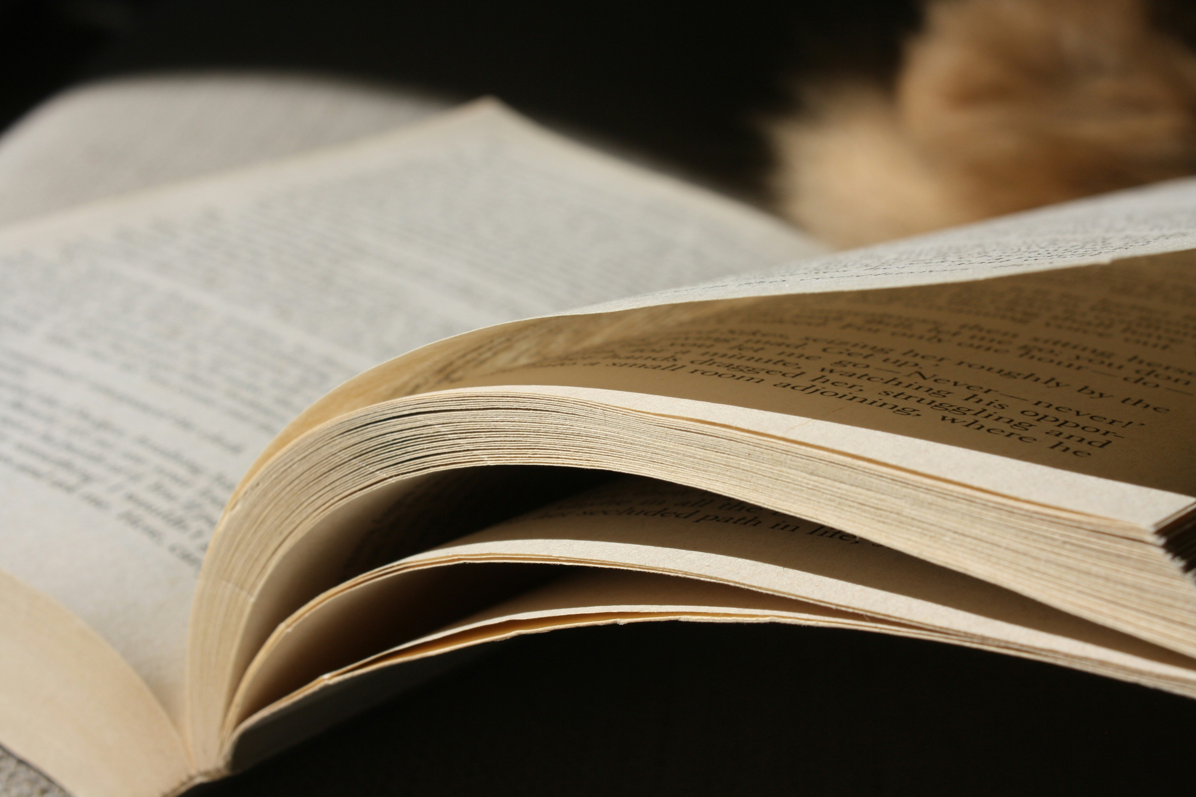 Photo by theartsy_waterlily