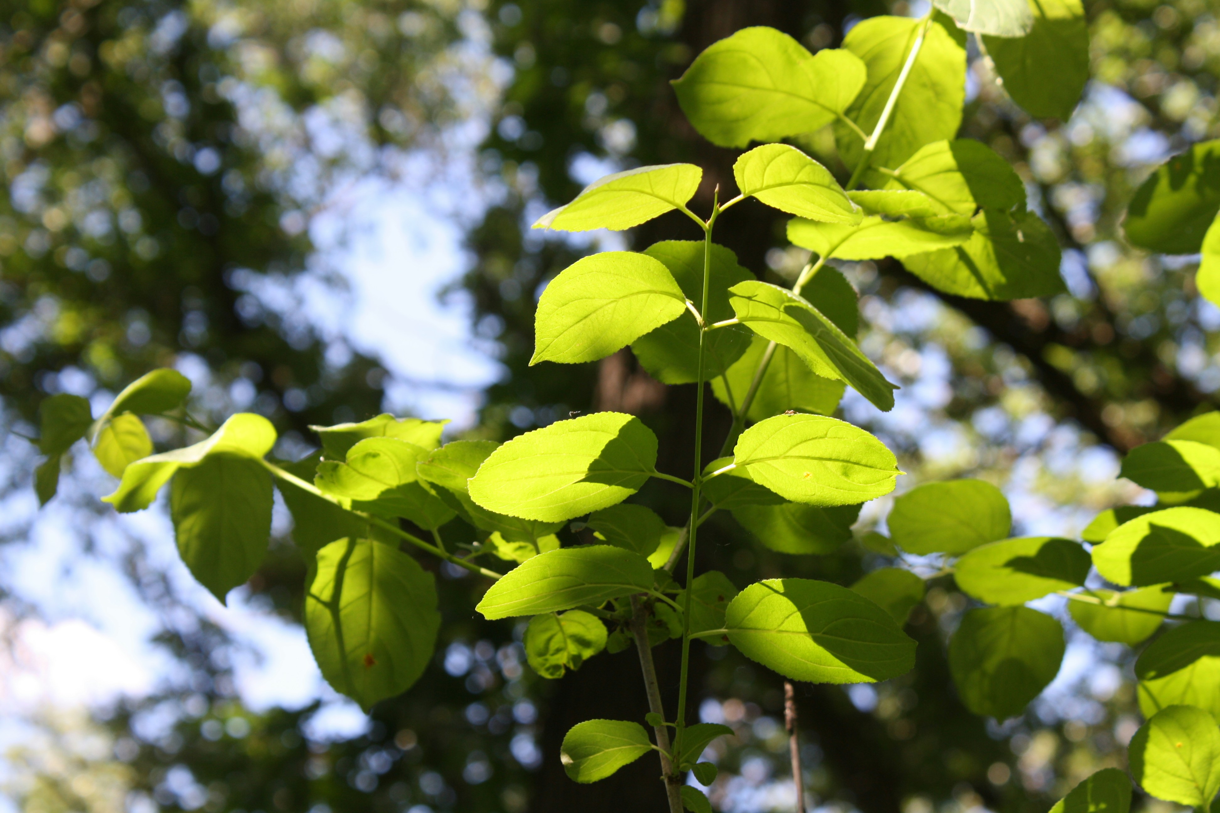 Photo by theartsy_waterlily