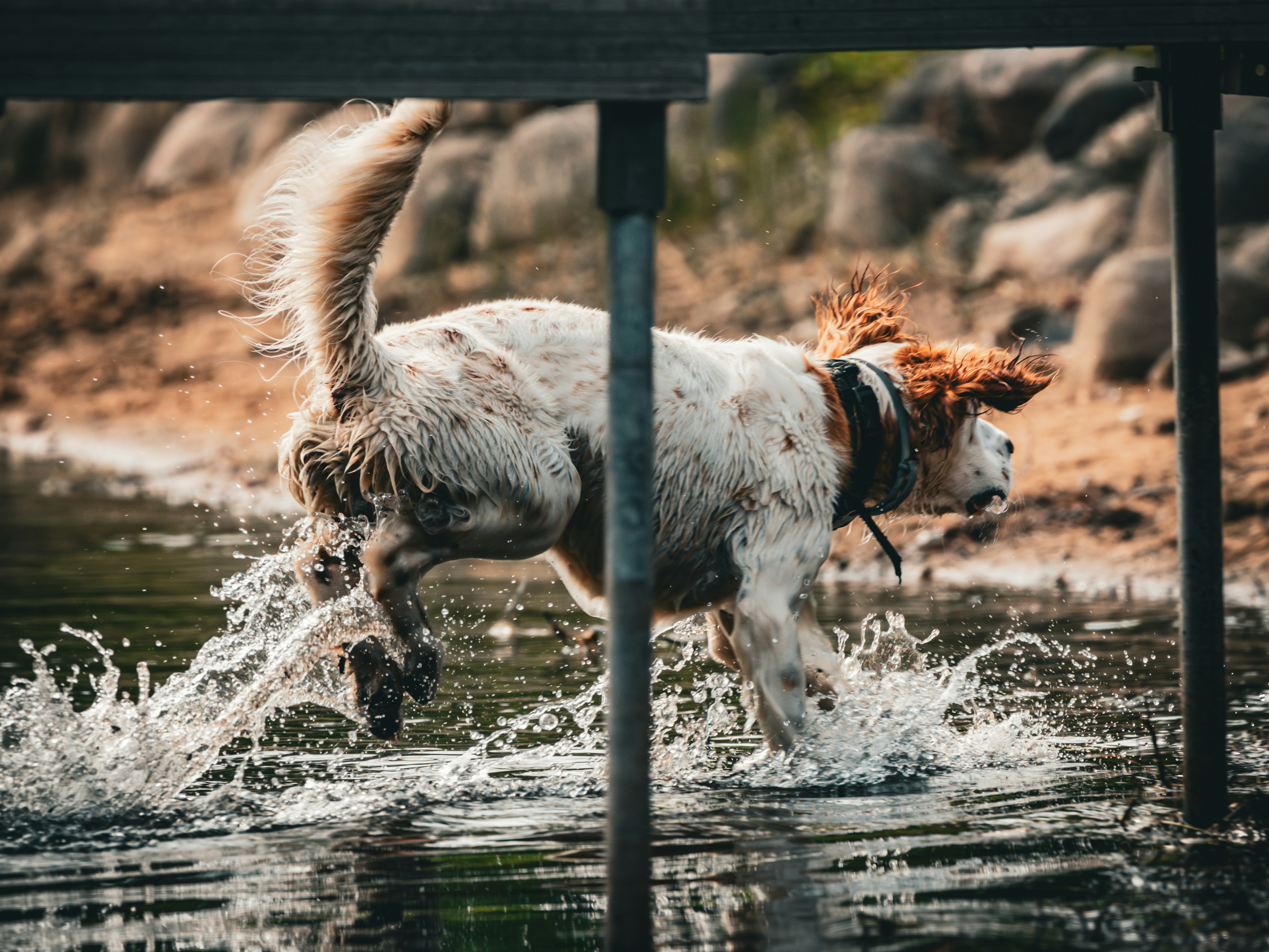 Photo by williamfaicher