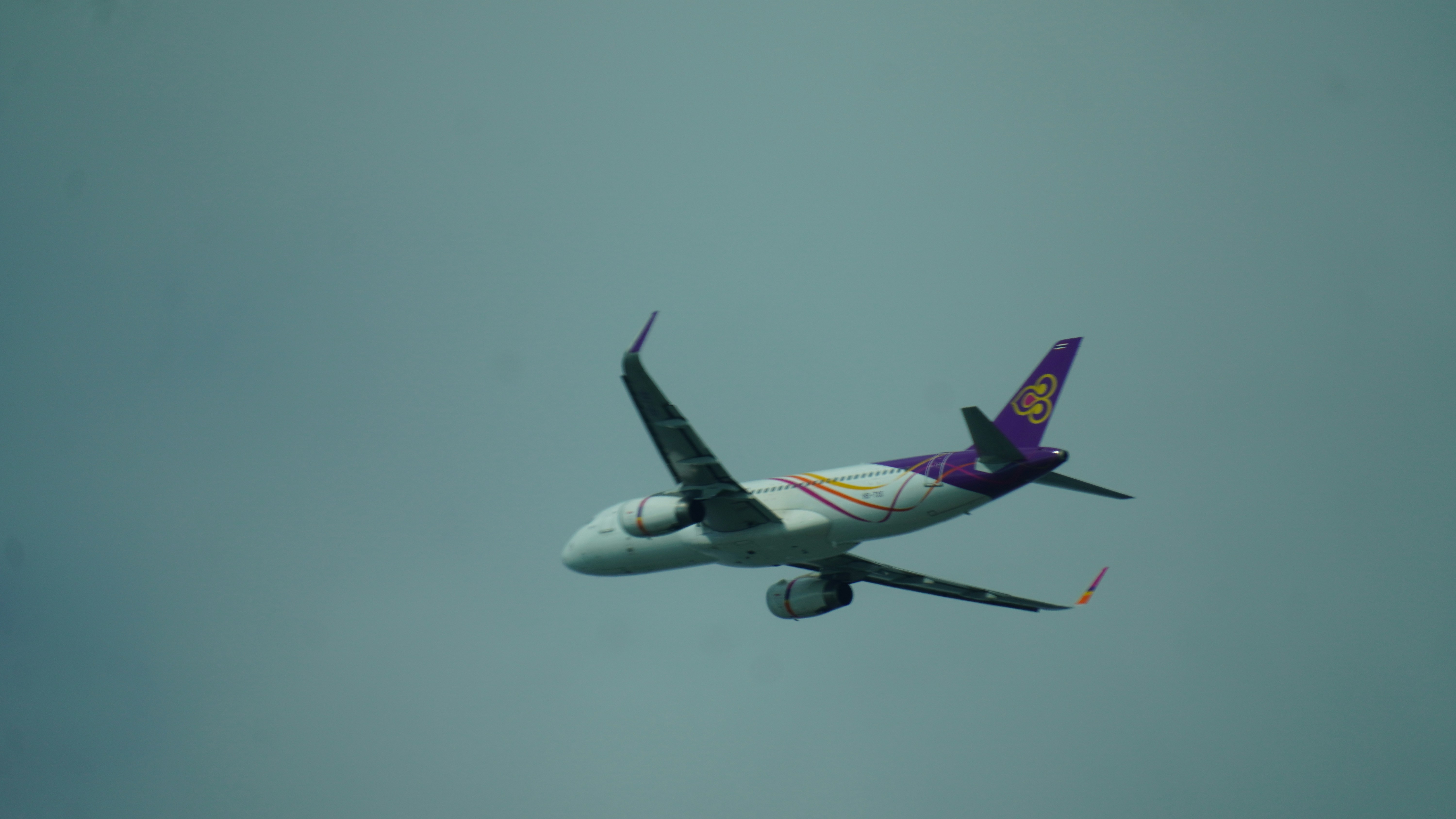 A thai airways plane flies in the overcast sky., 