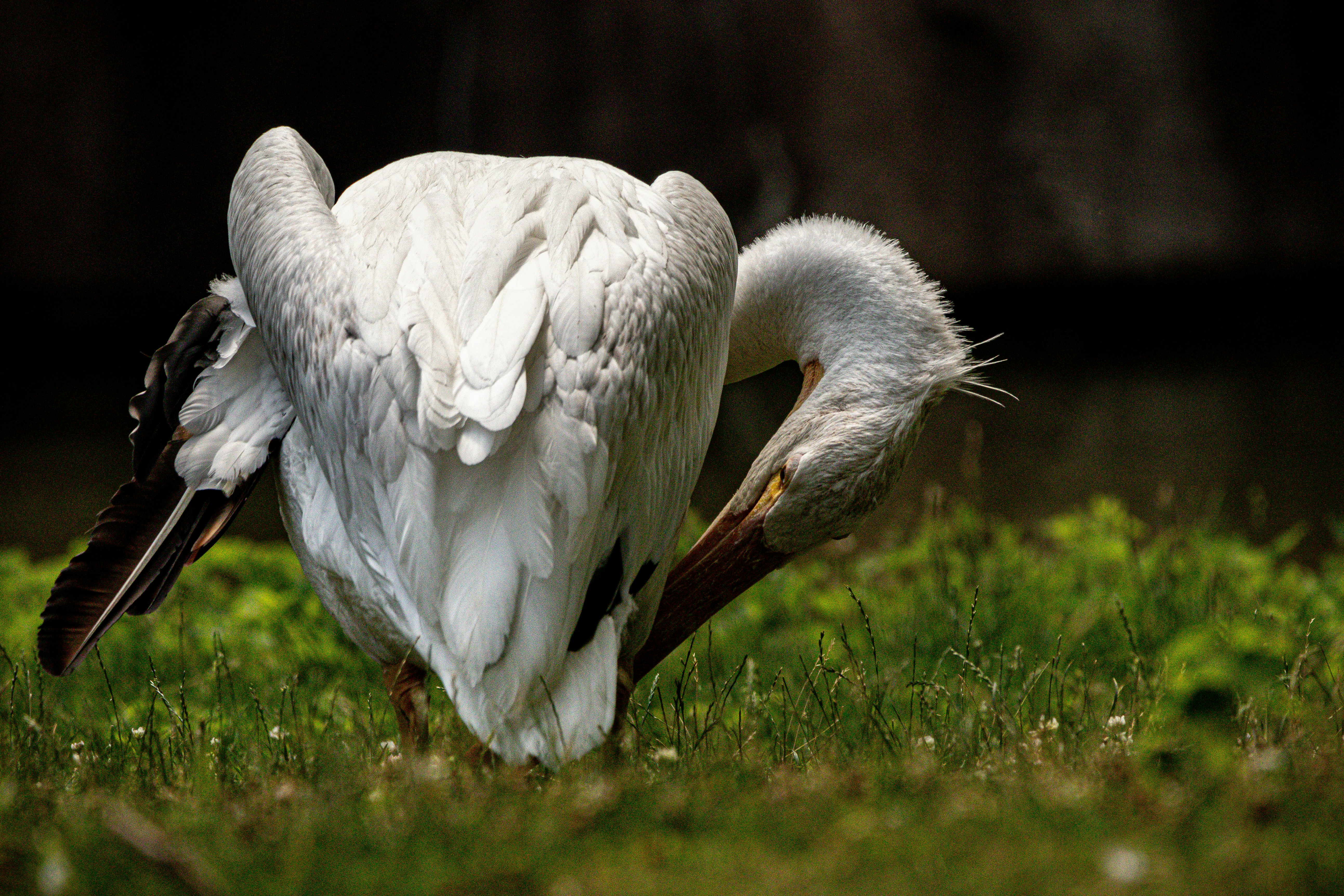 Photo by williamfaicher