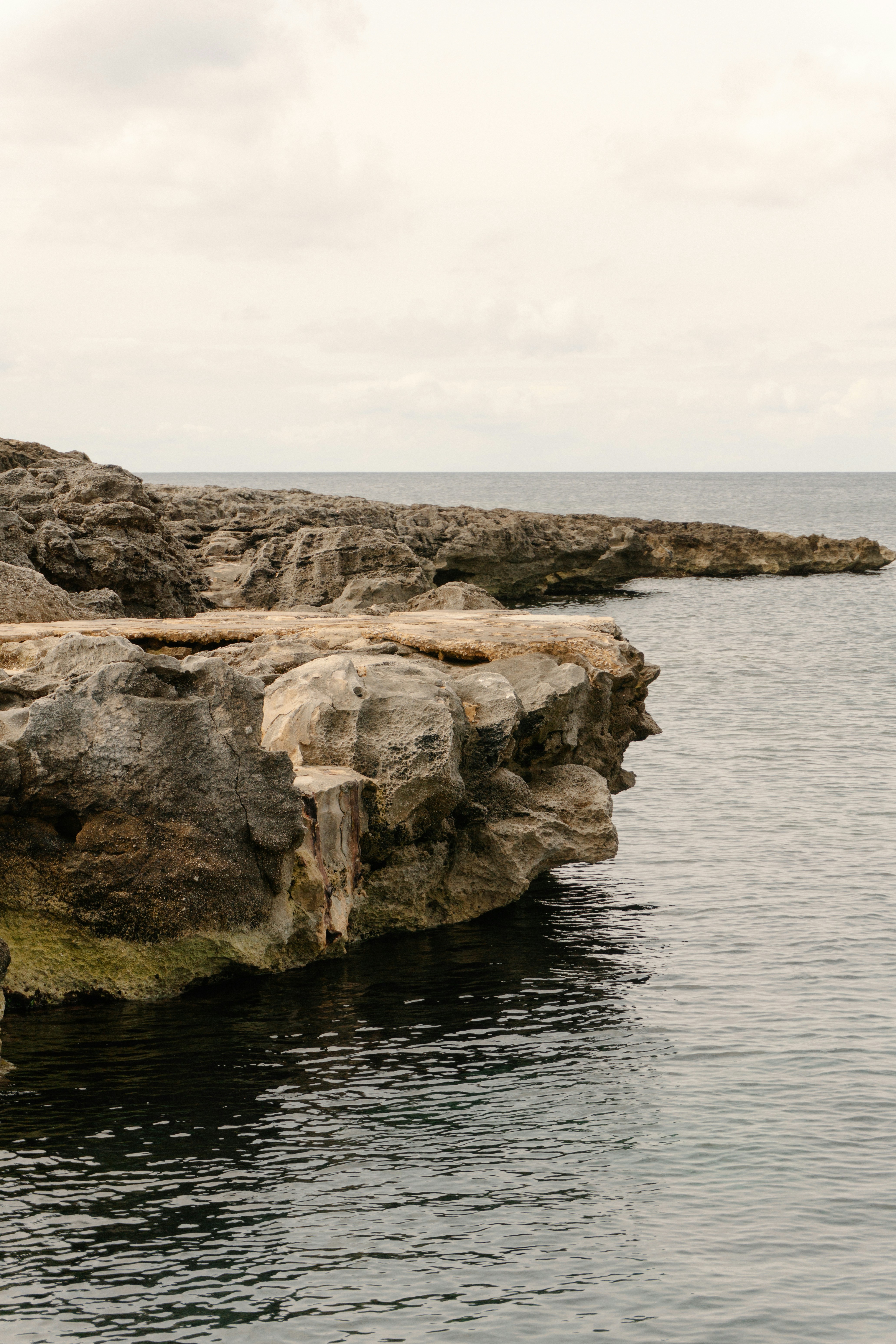 Photo by raymondpetrik