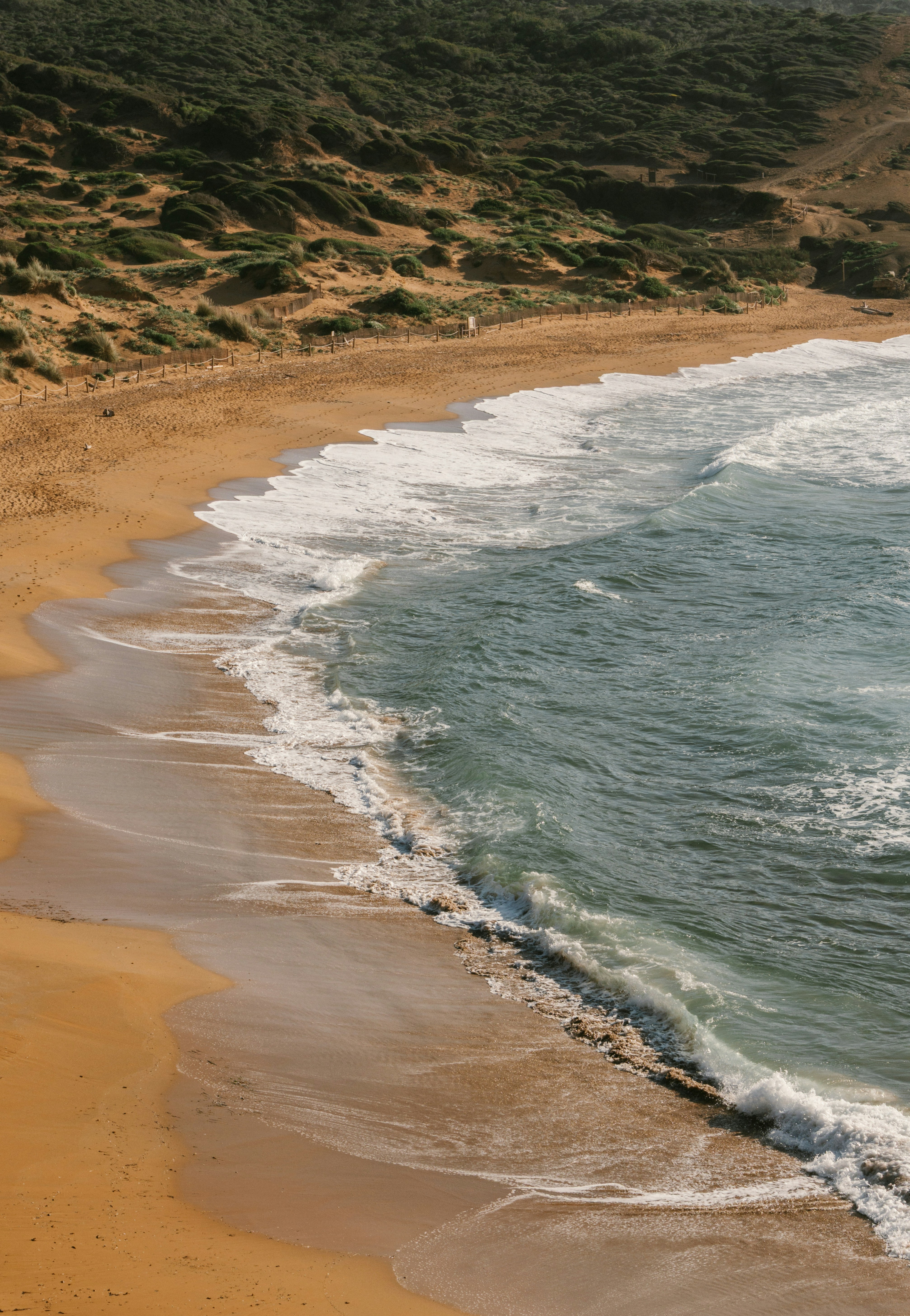 Photo by raymondpetrik