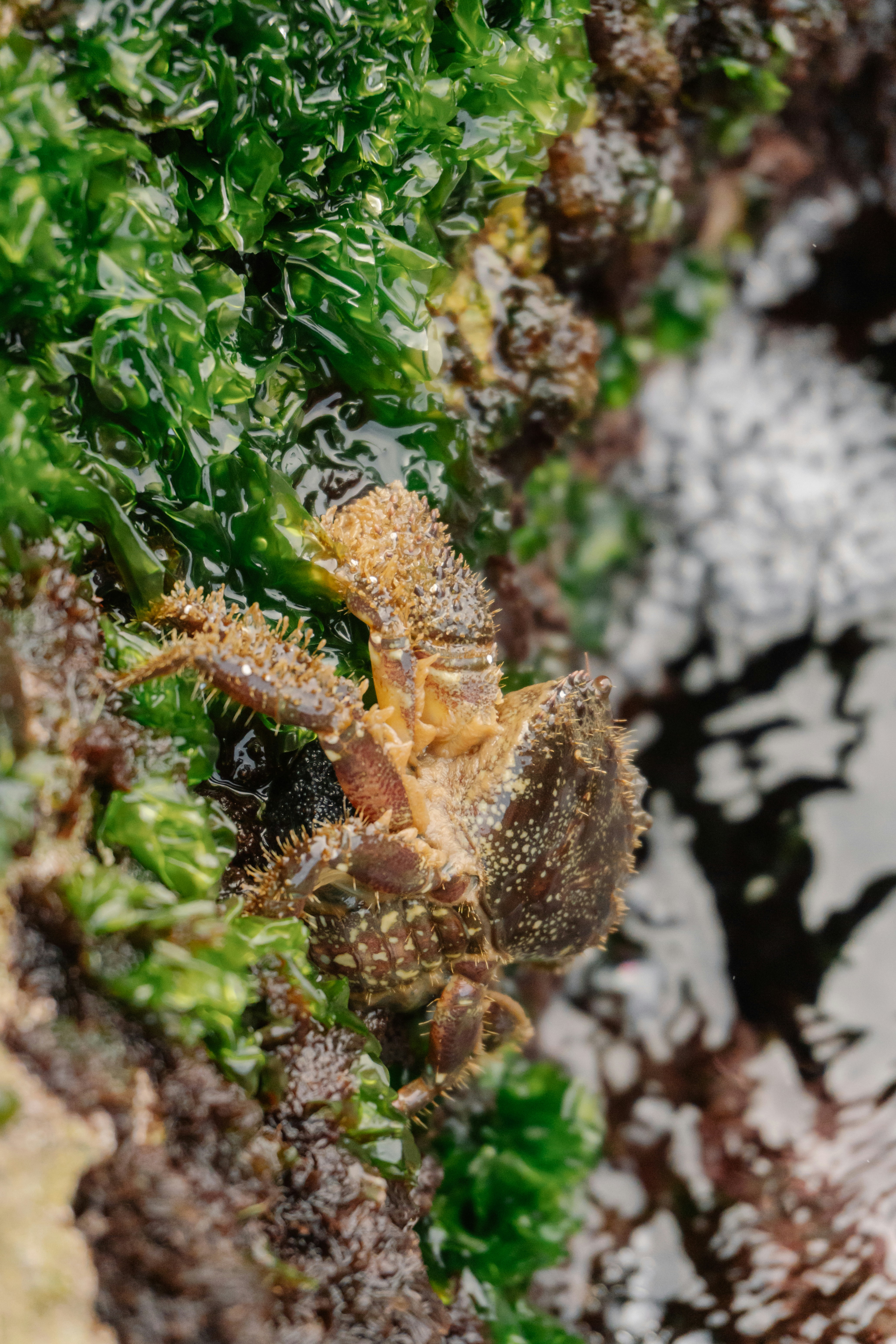 Photo by raymondpetrik