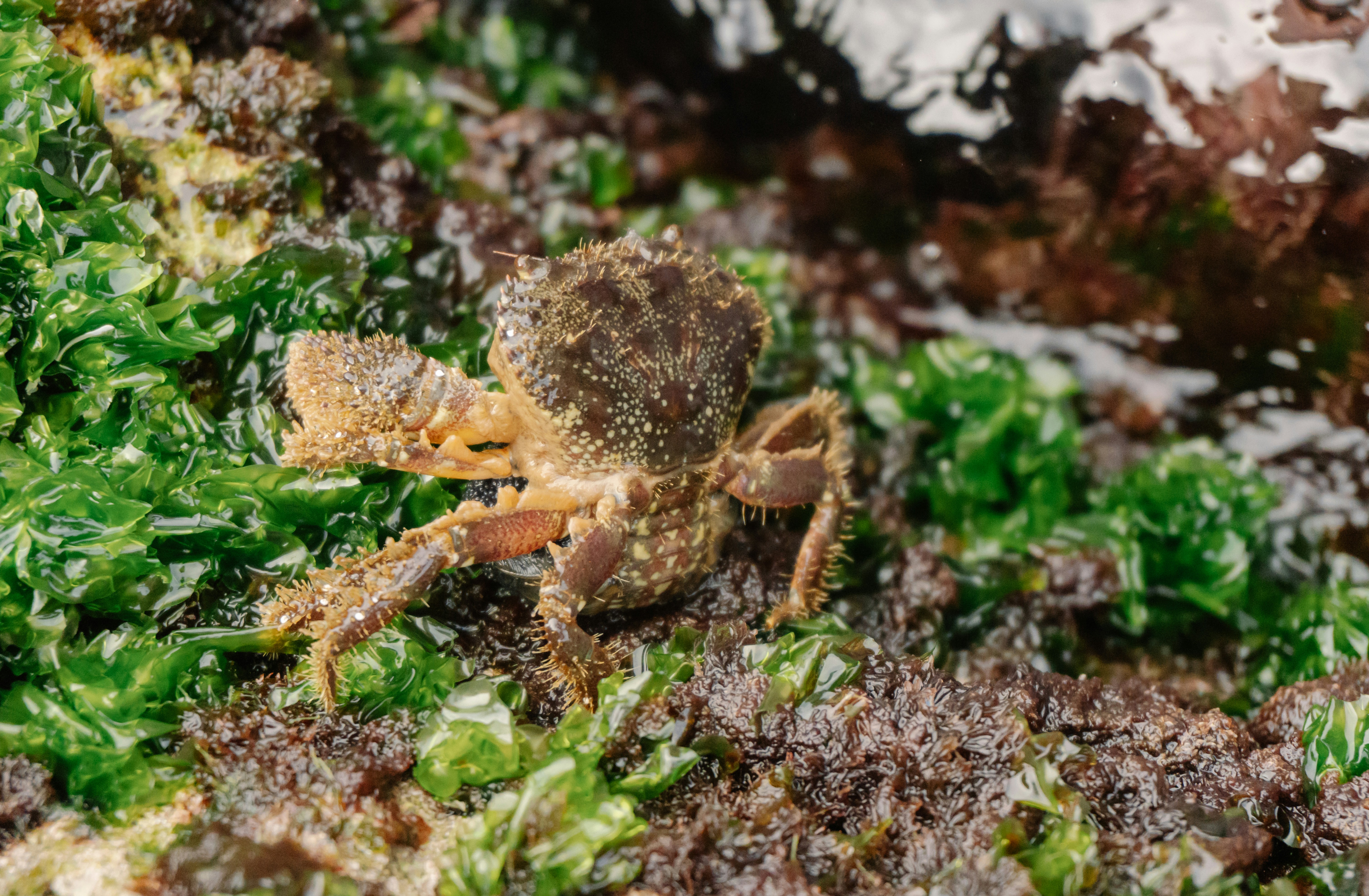 Photo by raymondpetrik