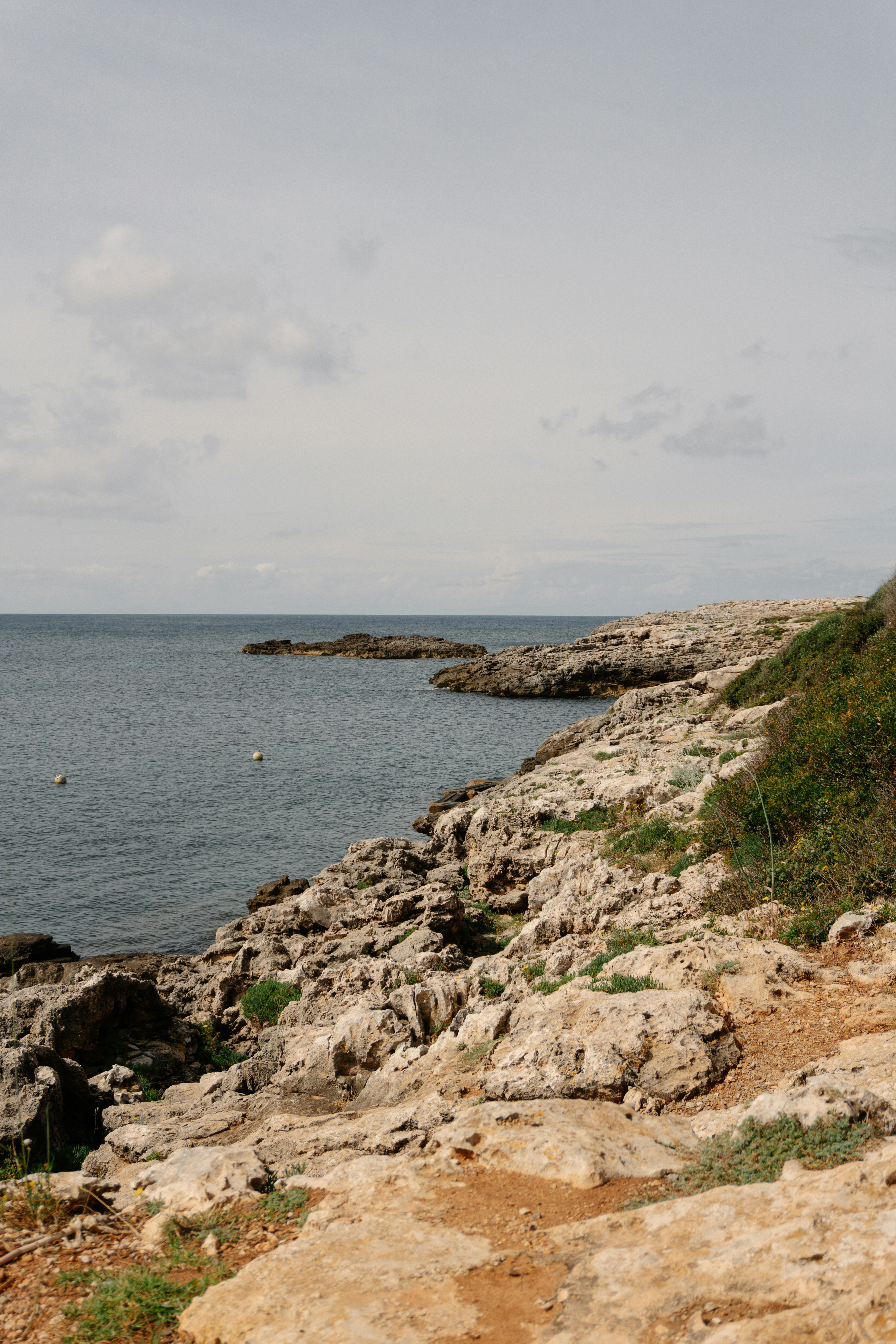 Photo by raymondpetrik