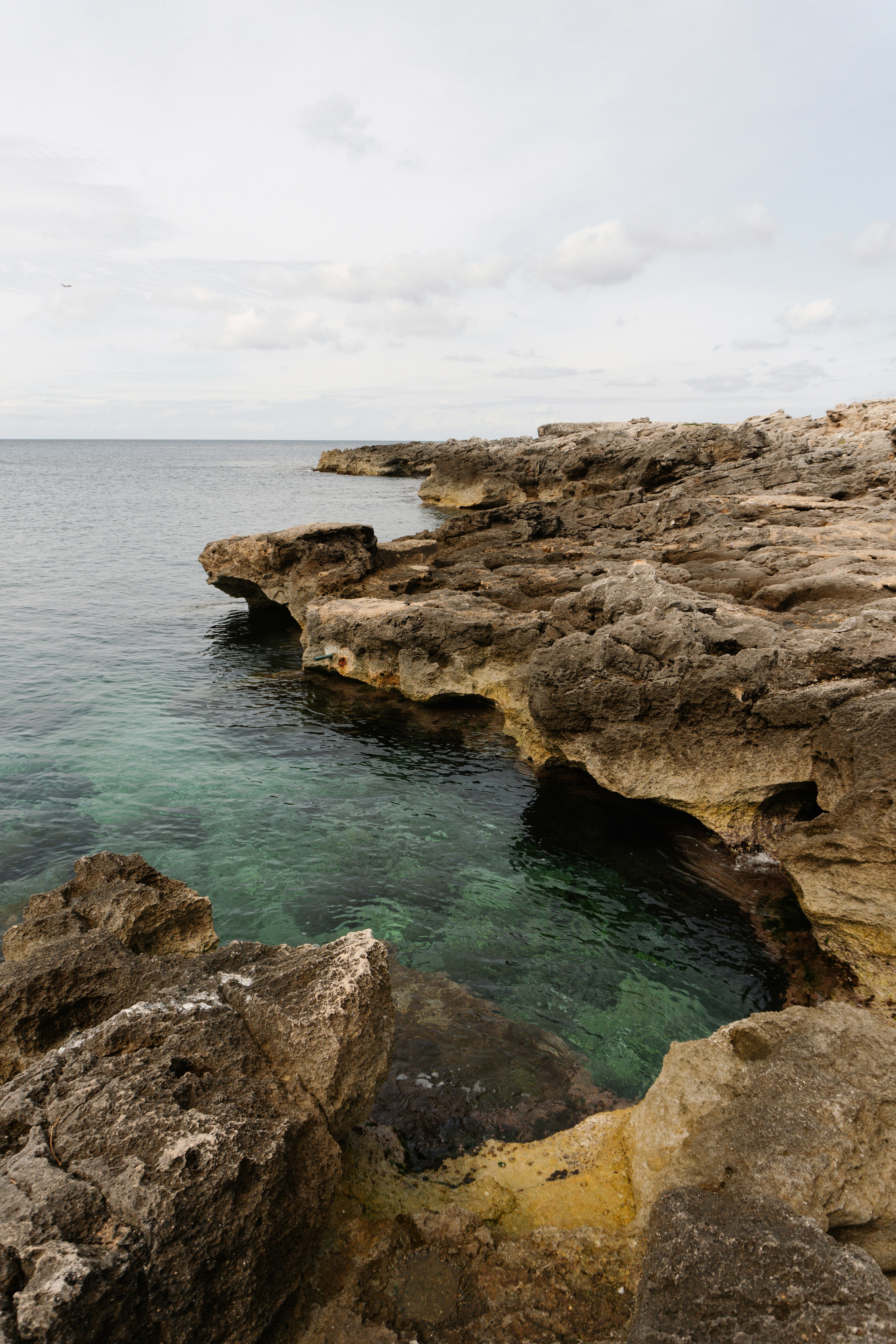 Photo by raymondpetrik