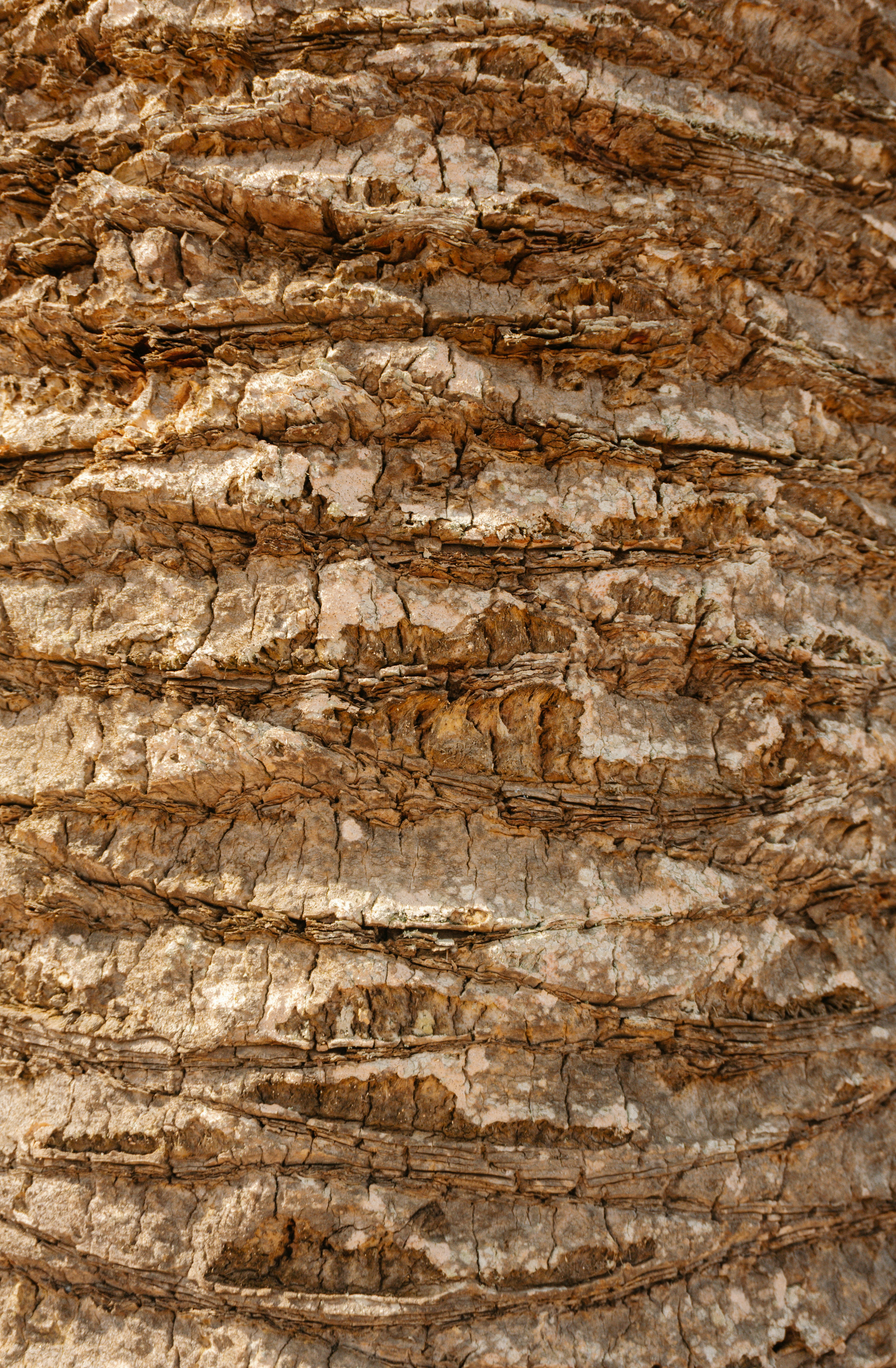 Photo by raymondpetrik