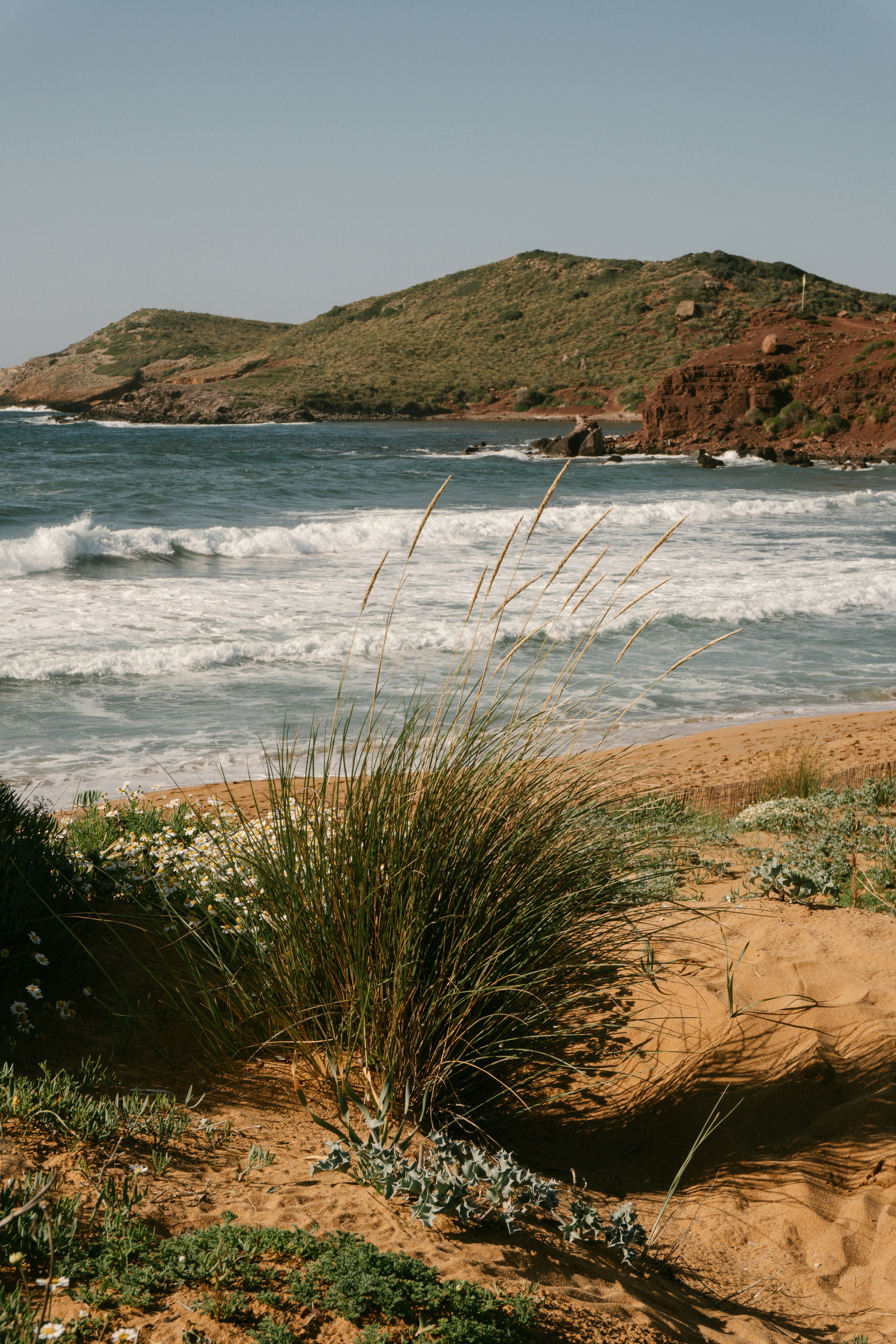 Photo by raymondpetrik