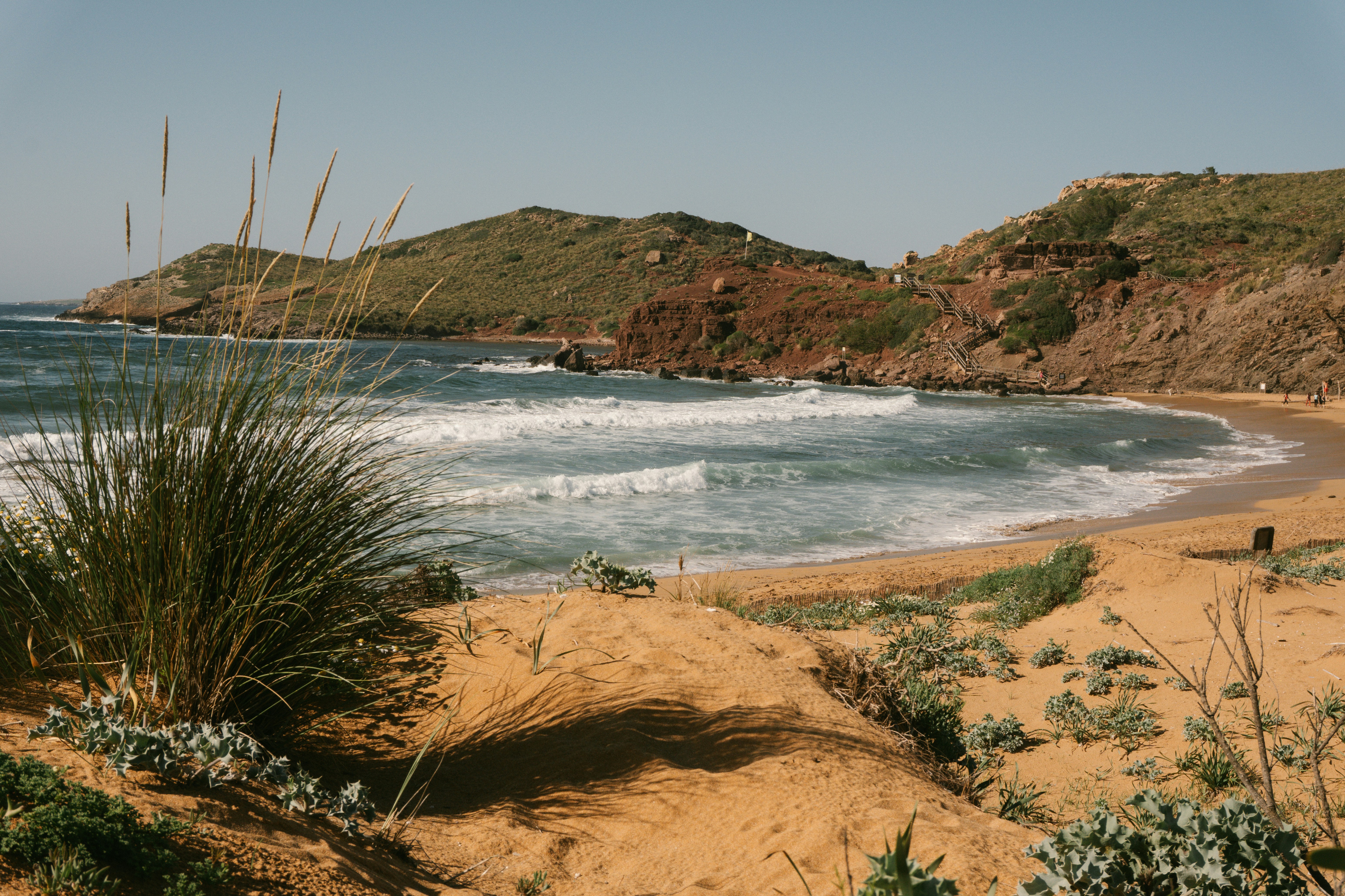 Photo by raymondpetrik