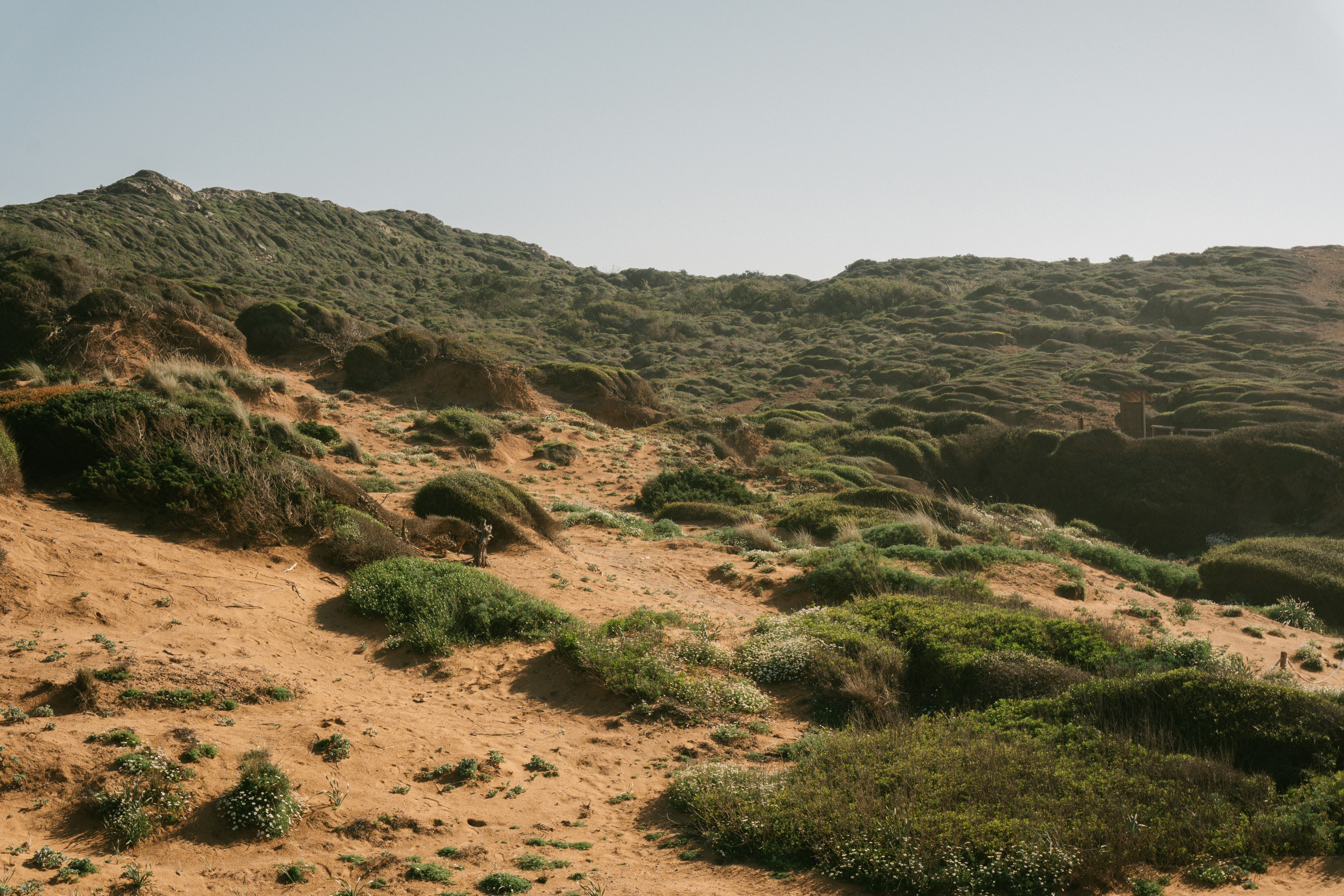 Photo by raymondpetrik