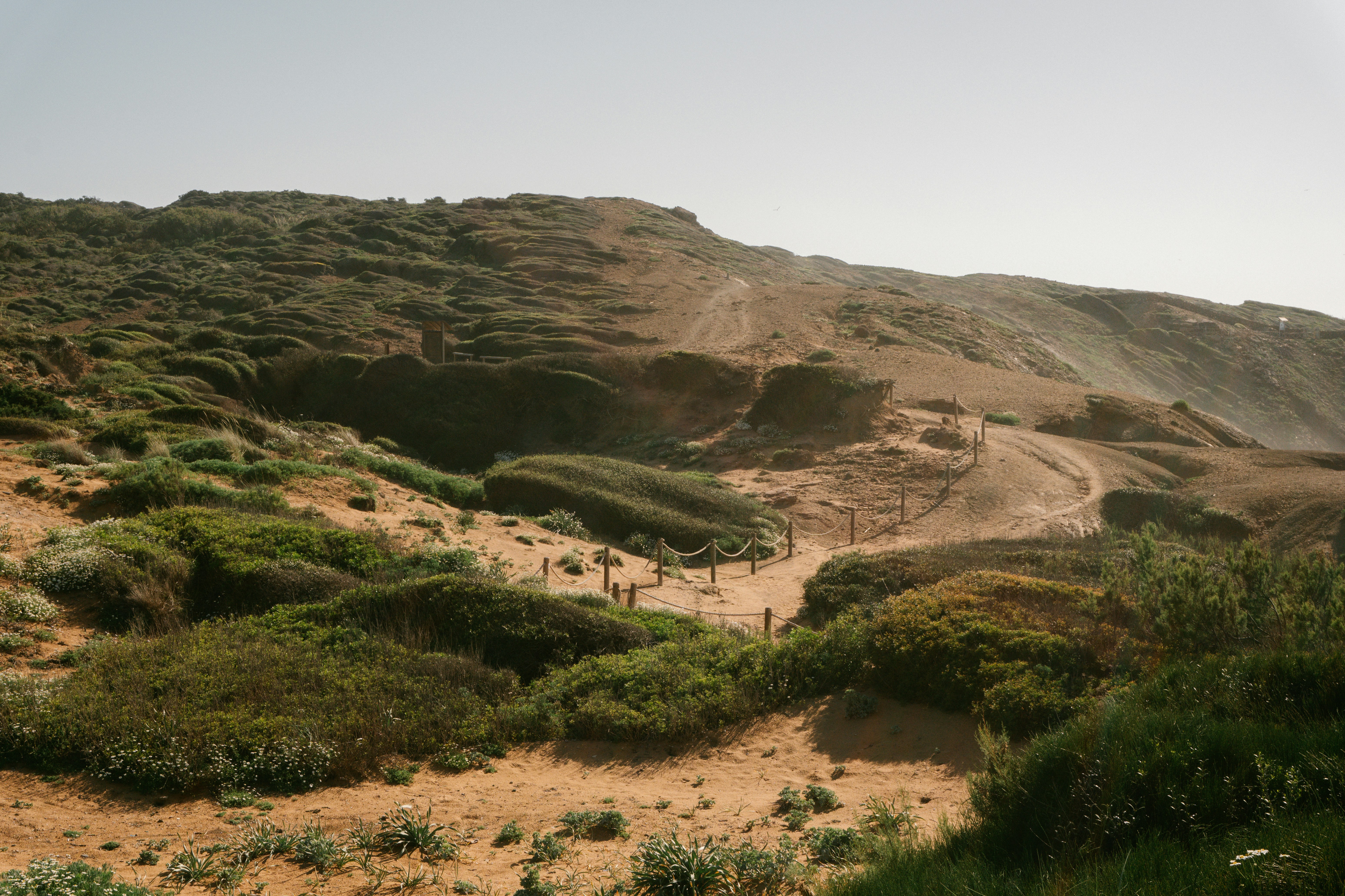 Photo by raymondpetrik