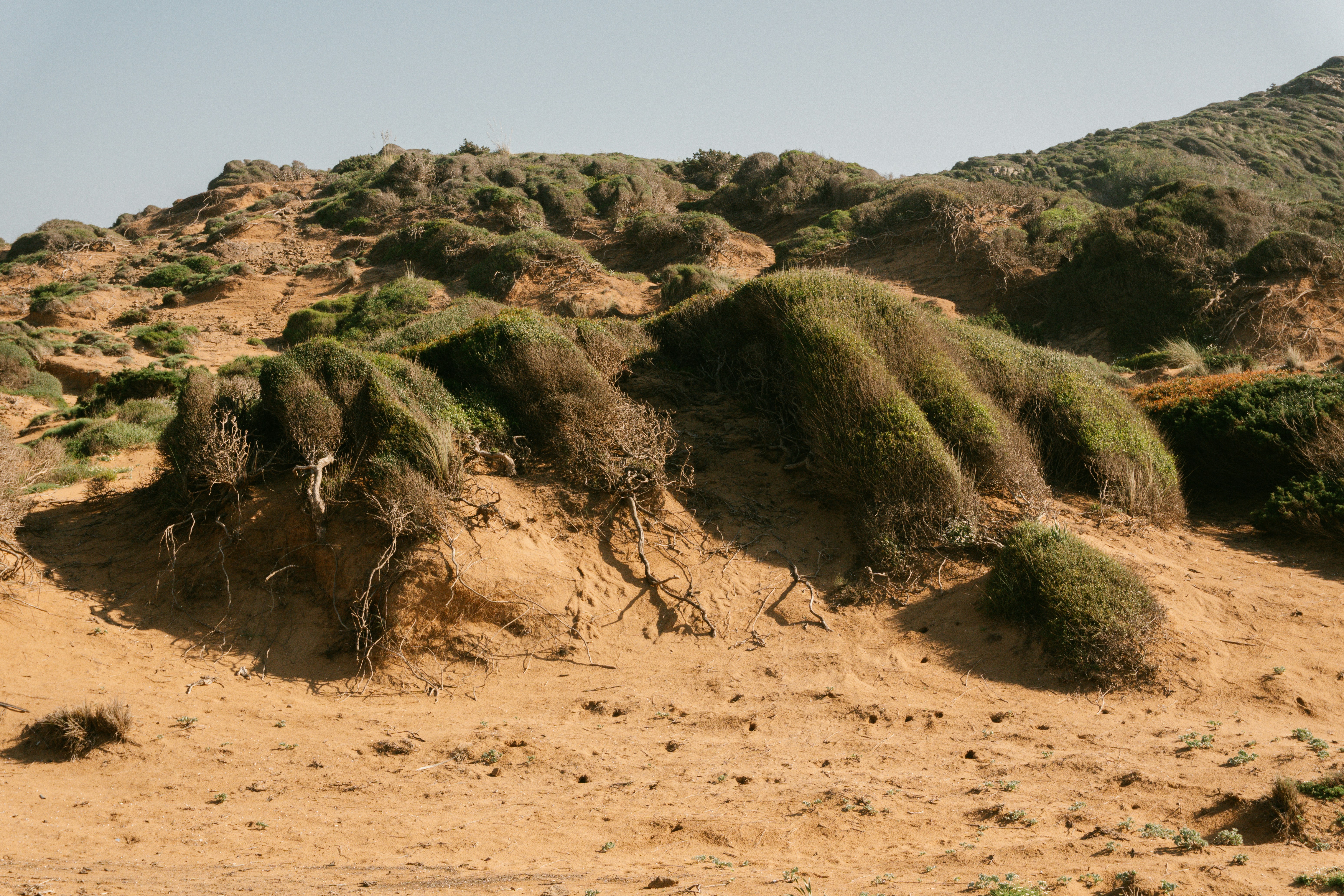 Photo by raymondpetrik