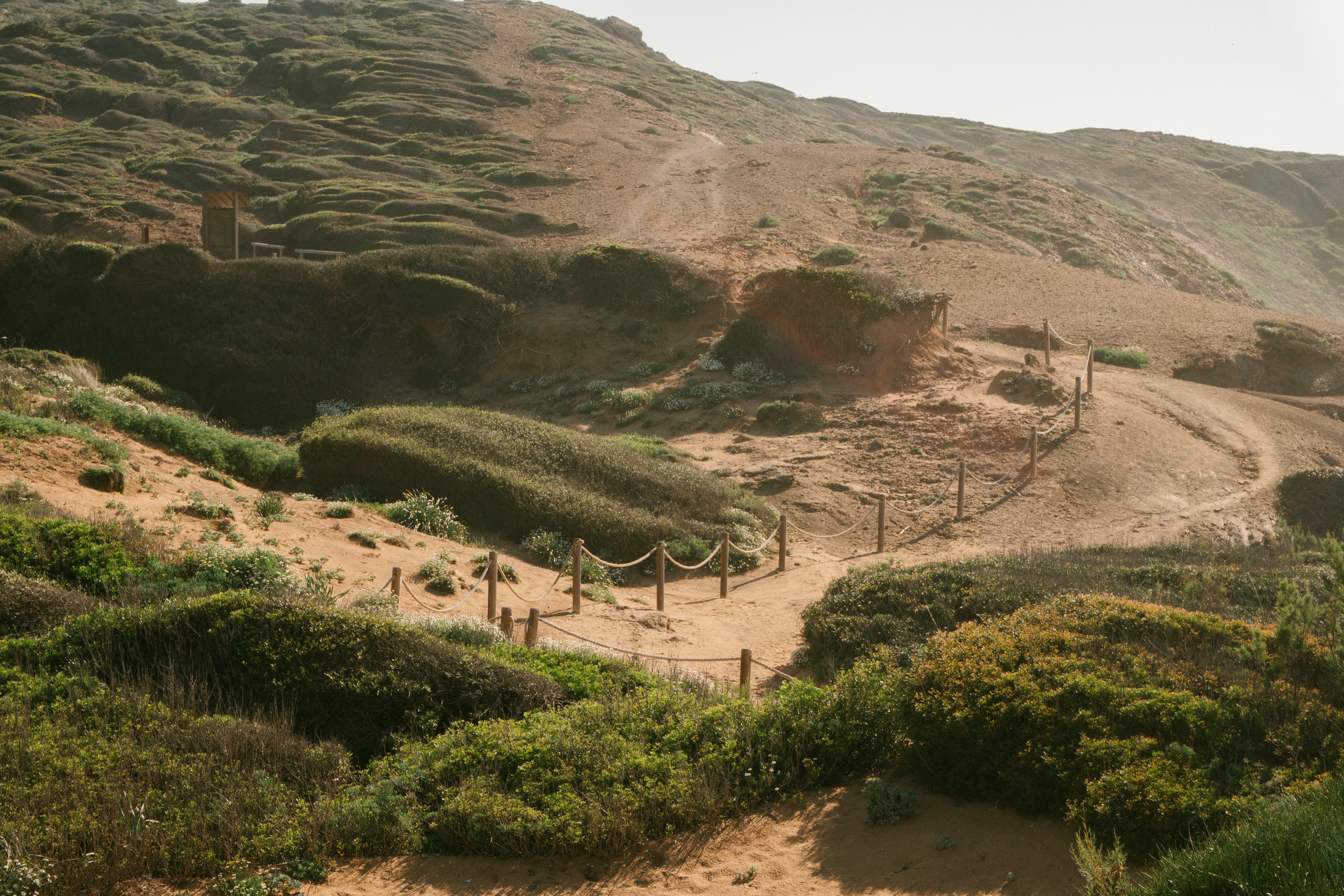 Photo by raymondpetrik