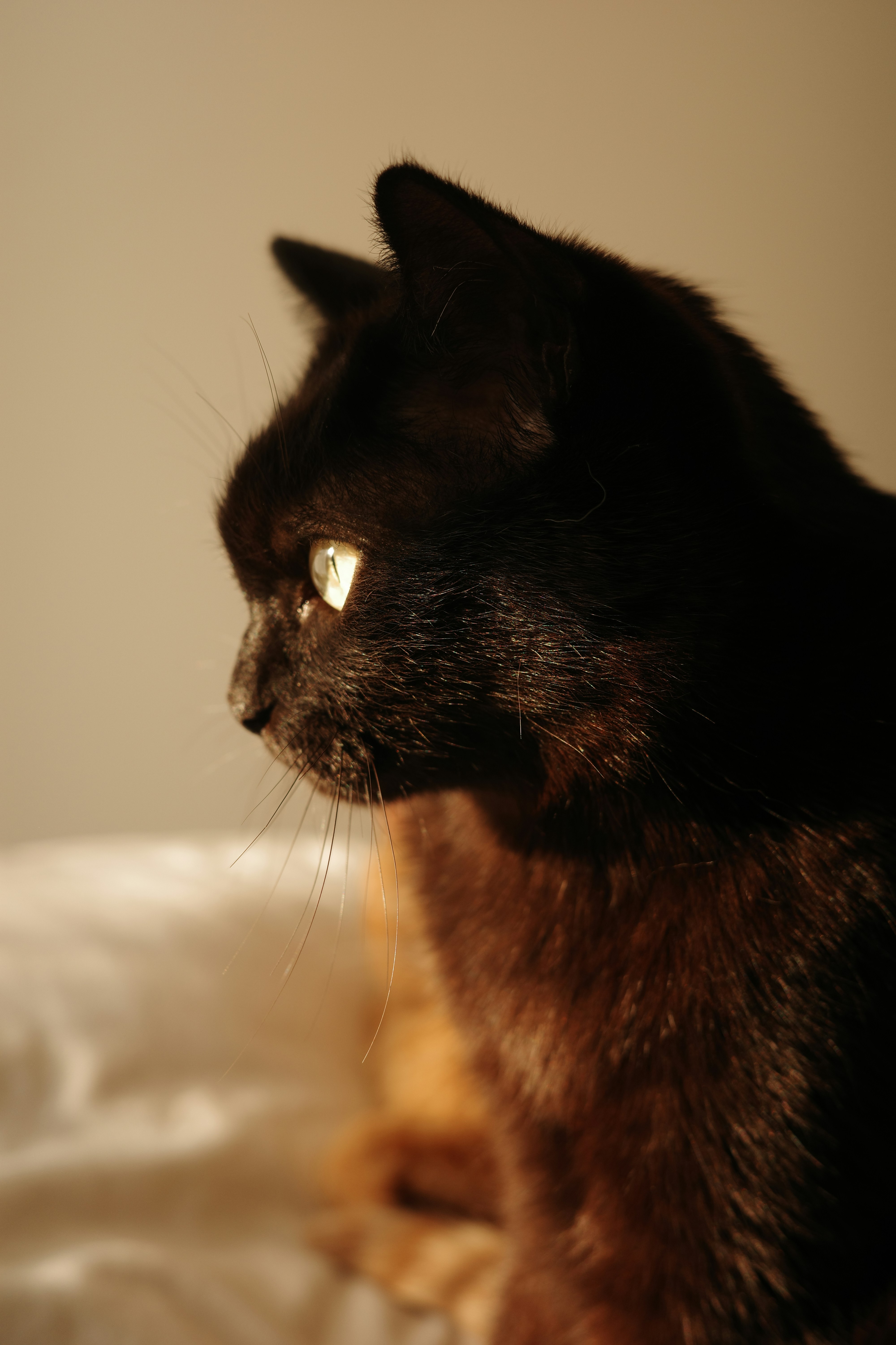 Photo by mathi0829lda