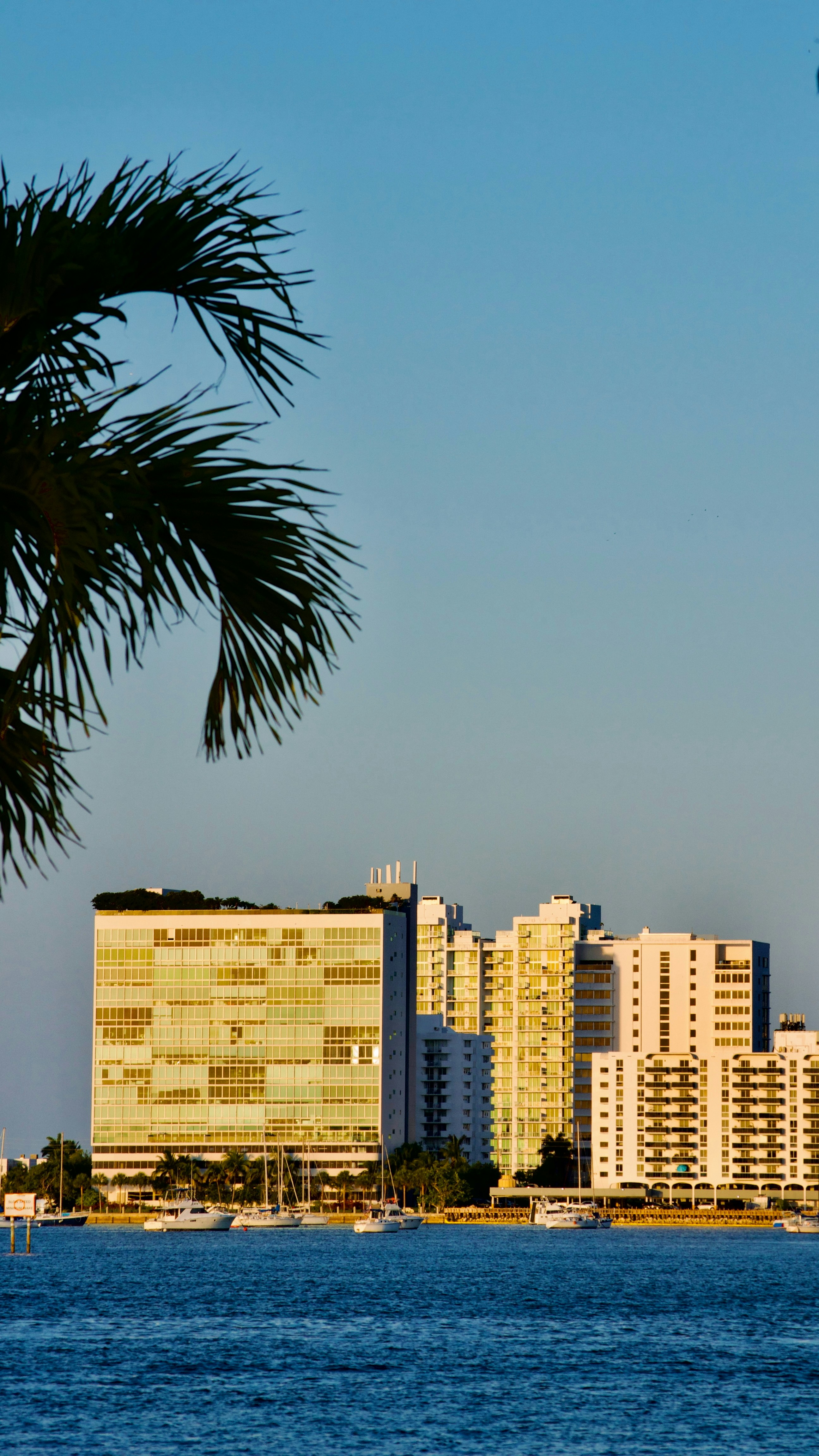 Photo by _agustinamadeo