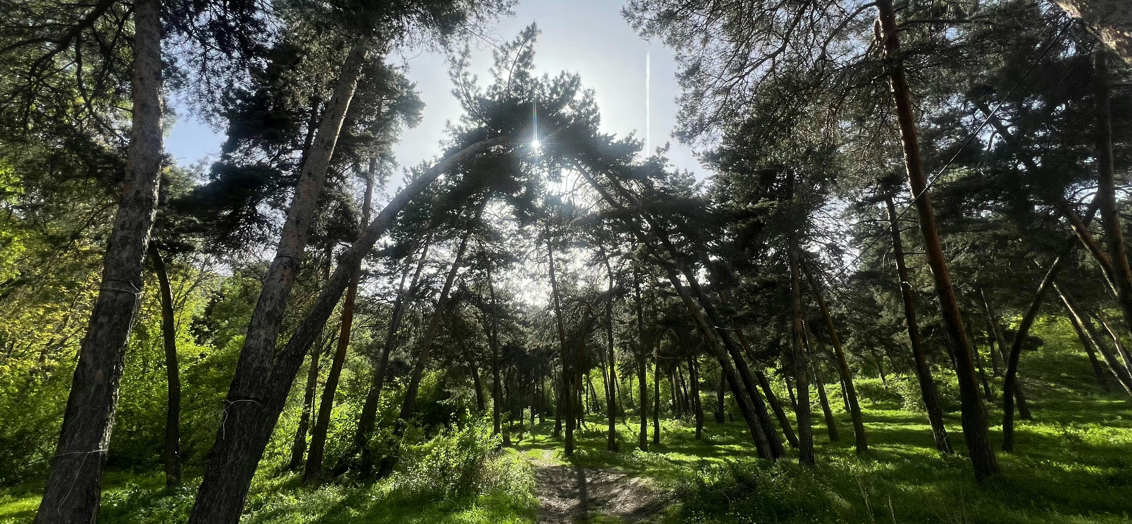 Vanadzor, Armenia - None