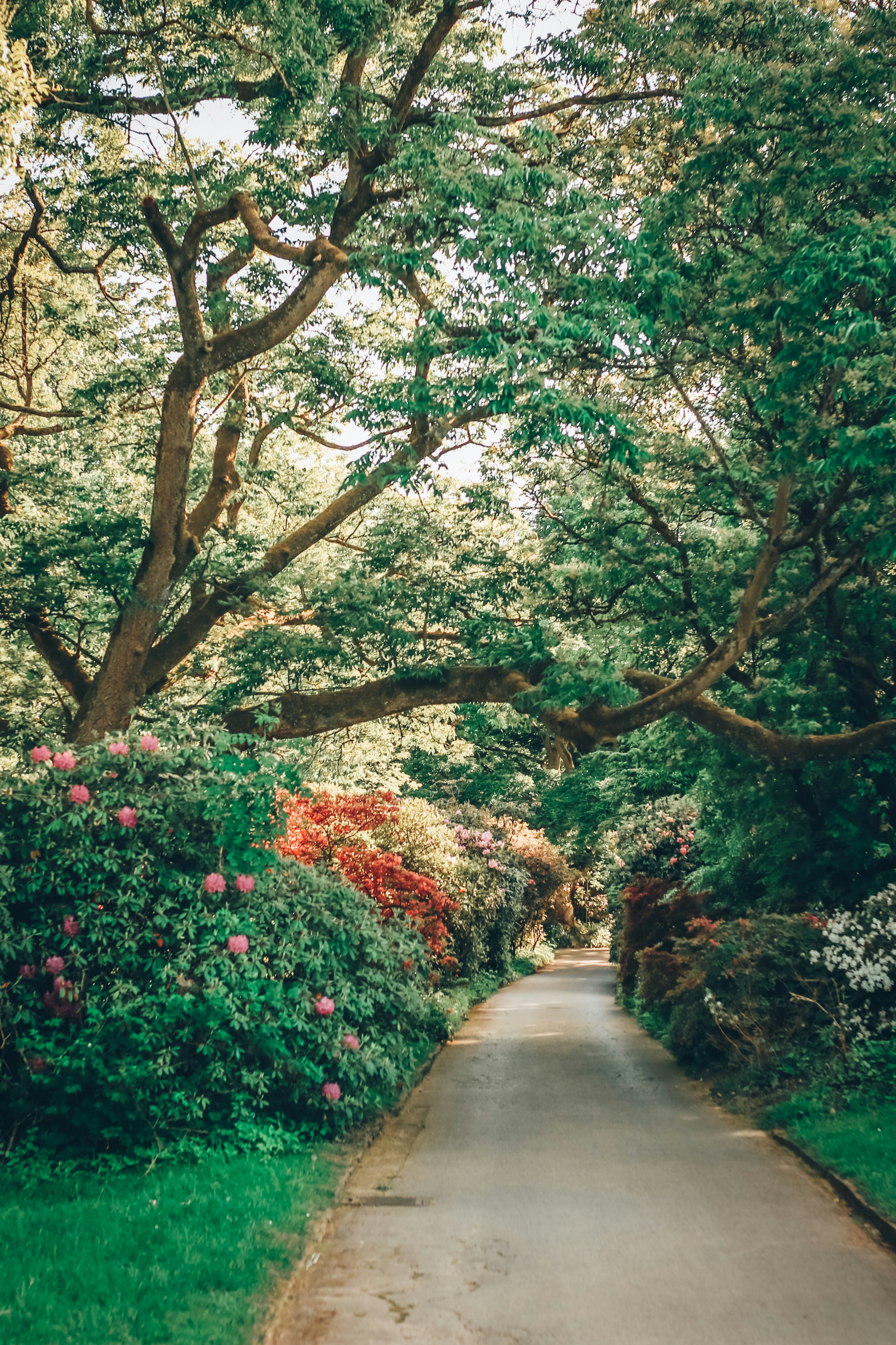 Photo by itsmeroland