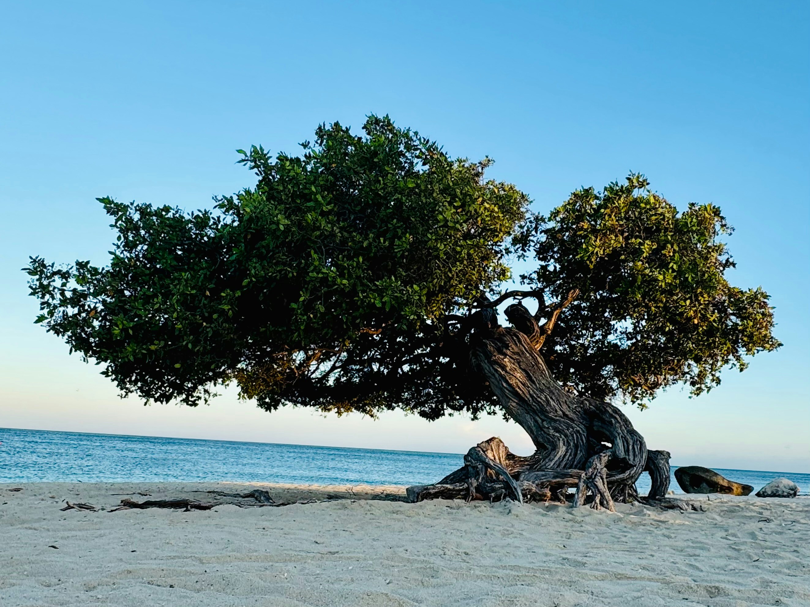 Photo by wesselgeursen