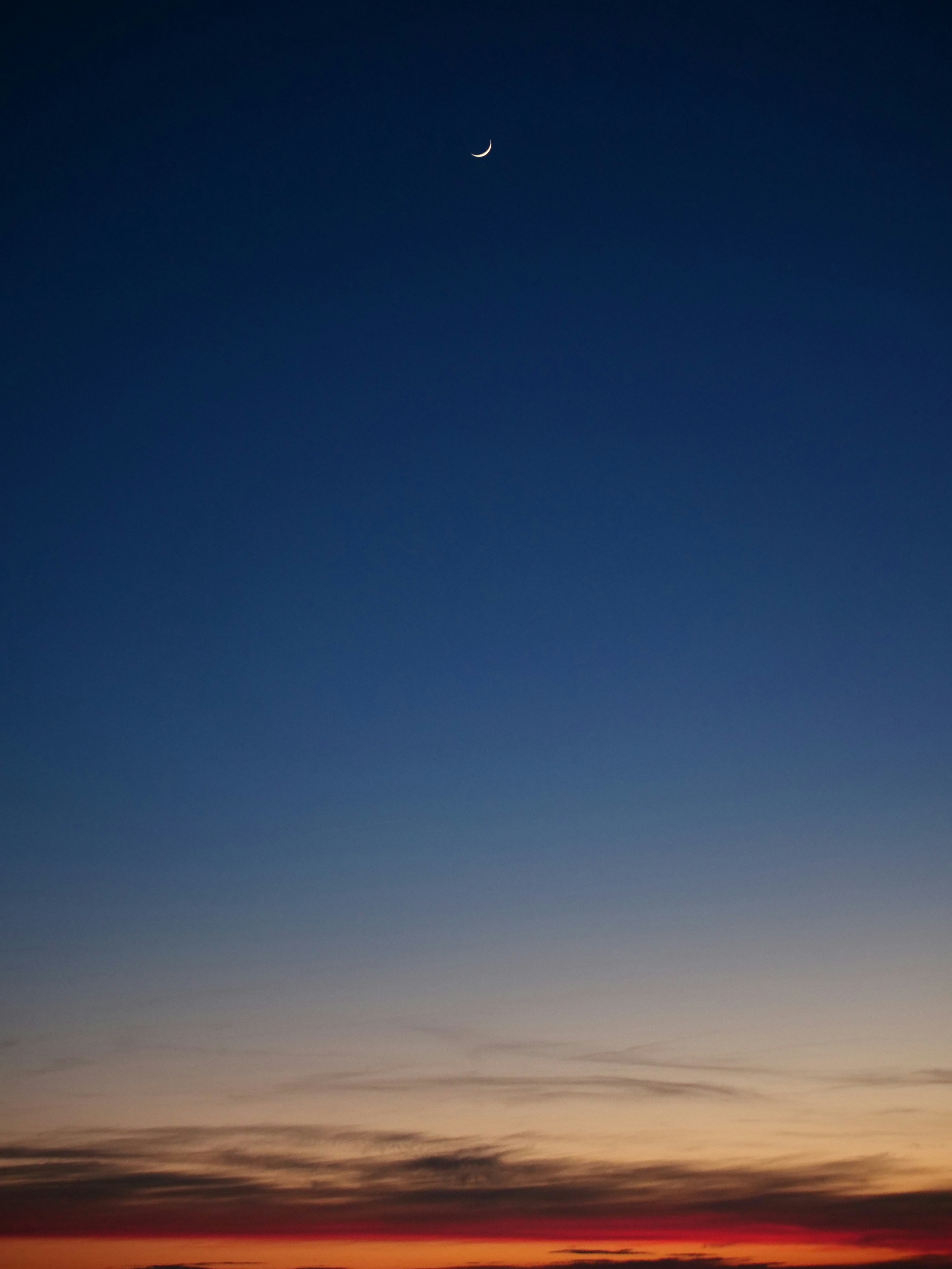 Photo by nimbus_vulpis