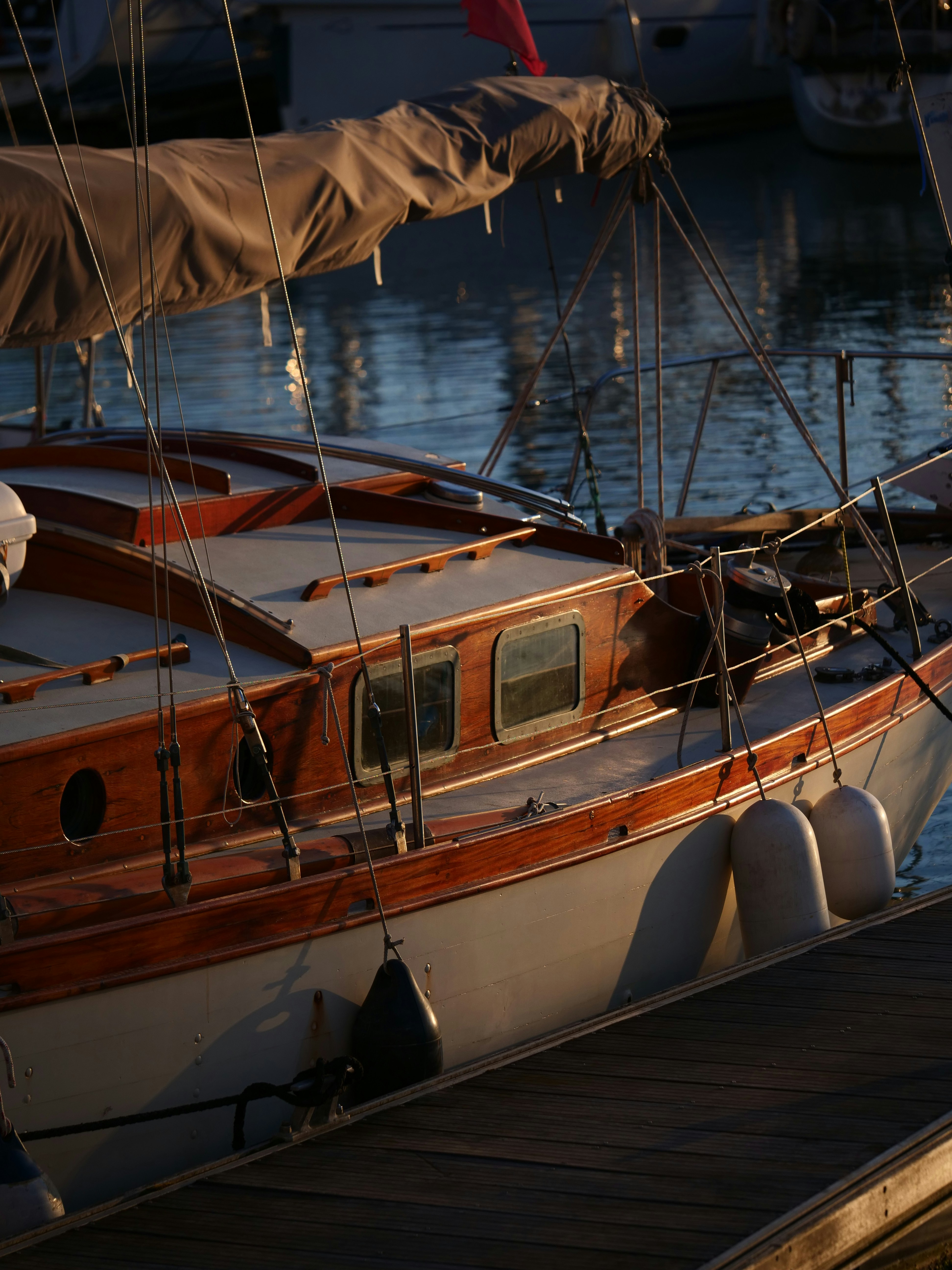 Photo by nimbus_vulpis