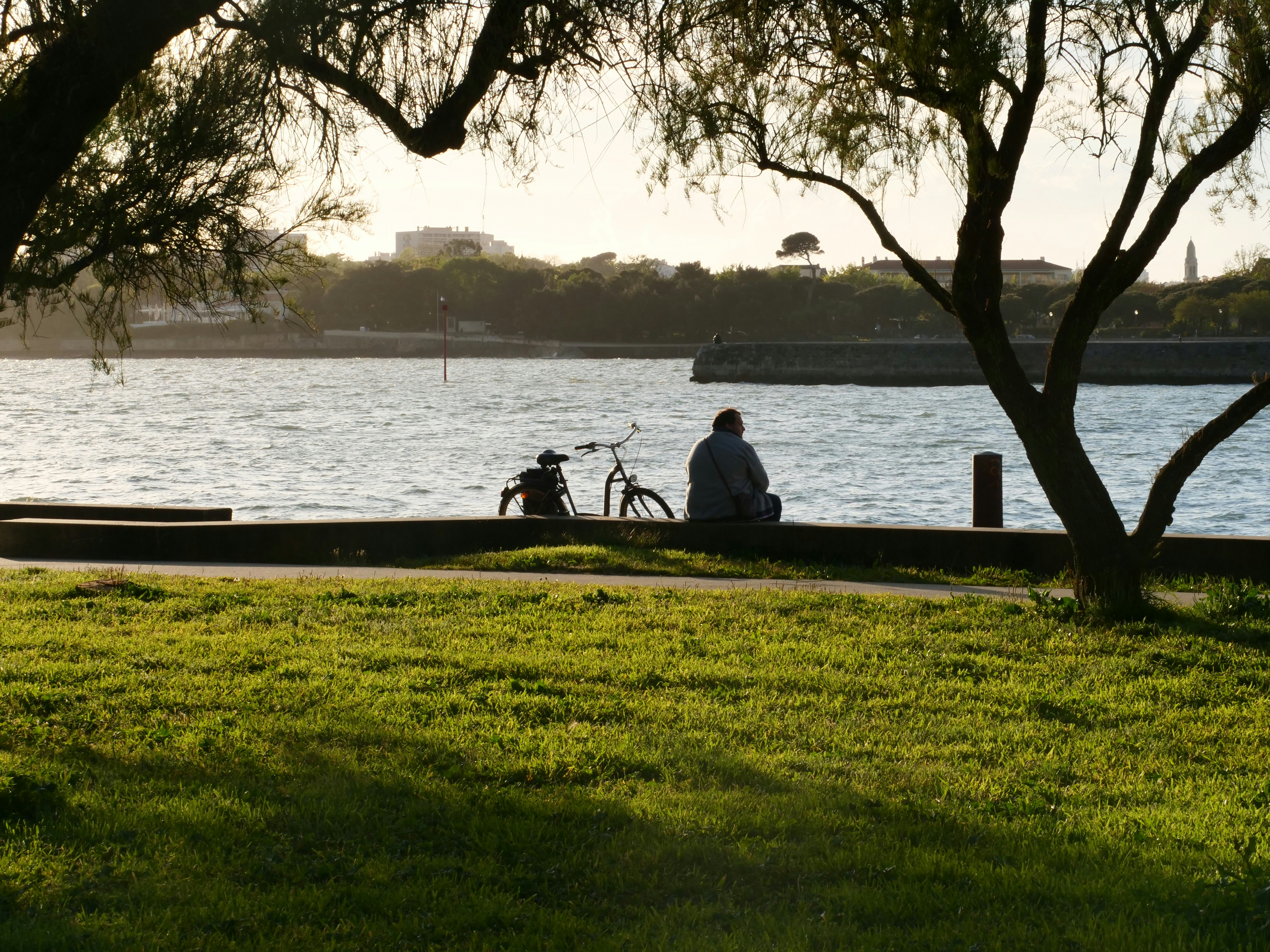 Photo by nimbus_vulpis