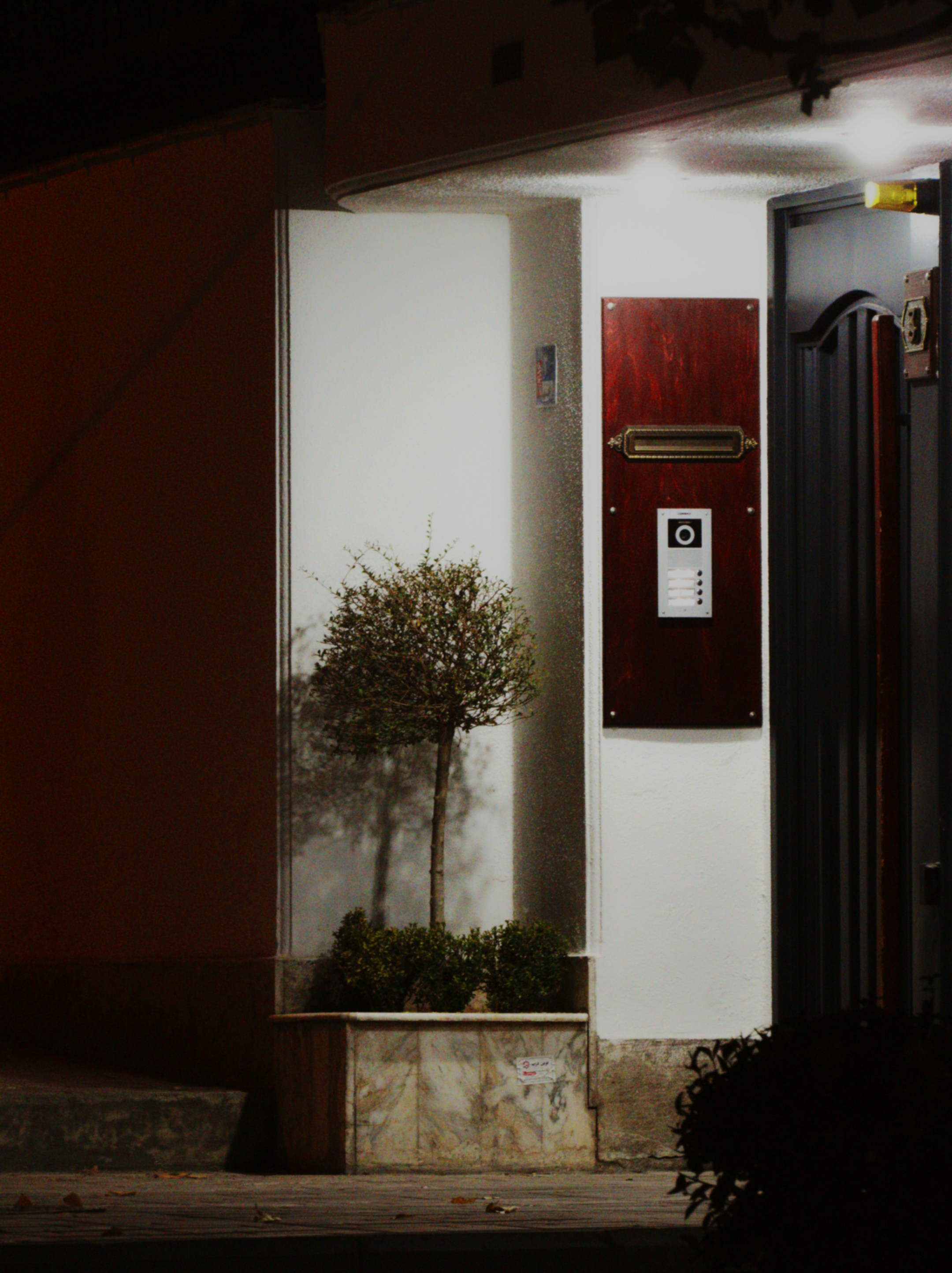 A doorway with mailbox and a small tree.