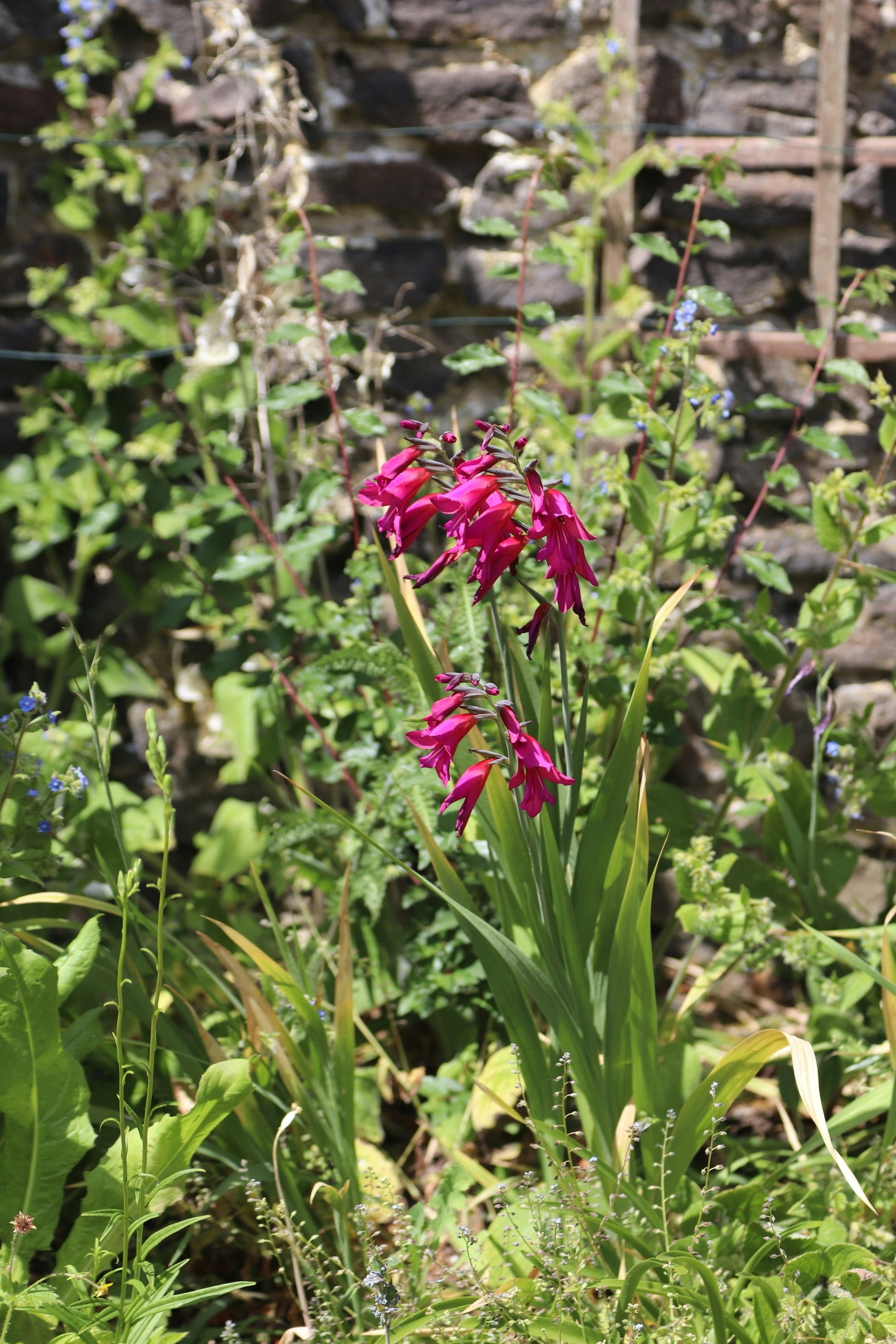 Photo by tanyabarrow