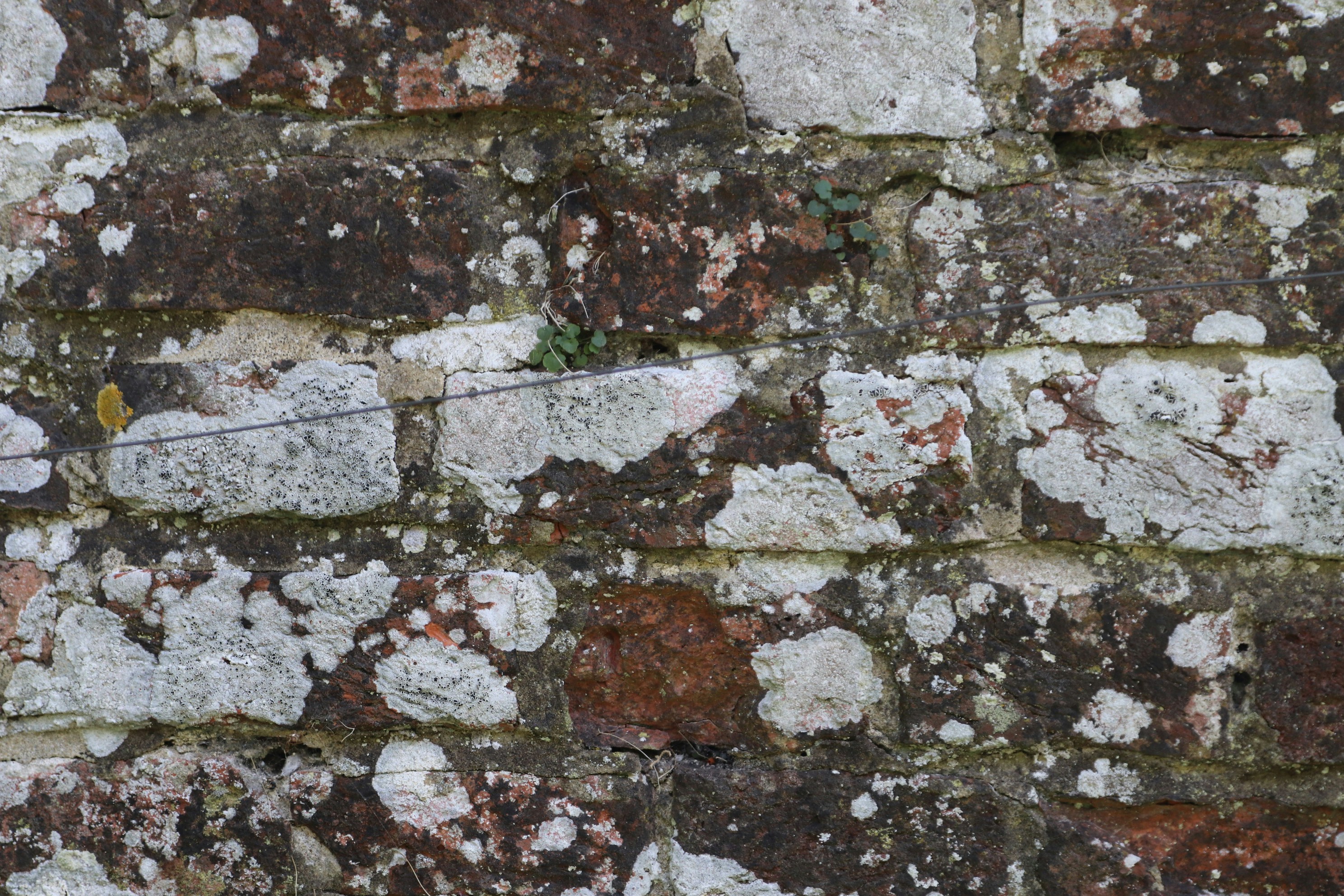 Photo by tanyabarrow