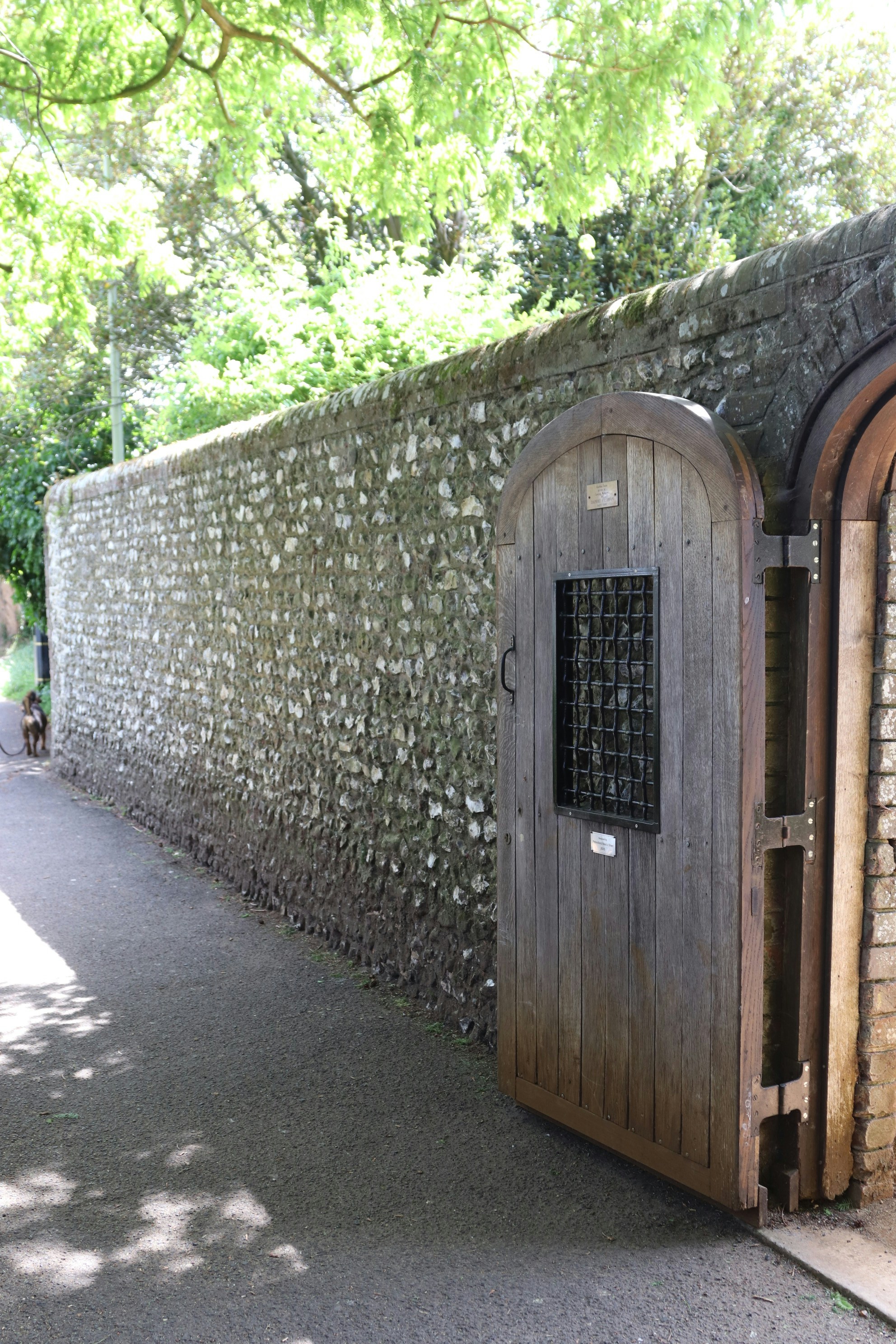 Photo by tanyabarrow