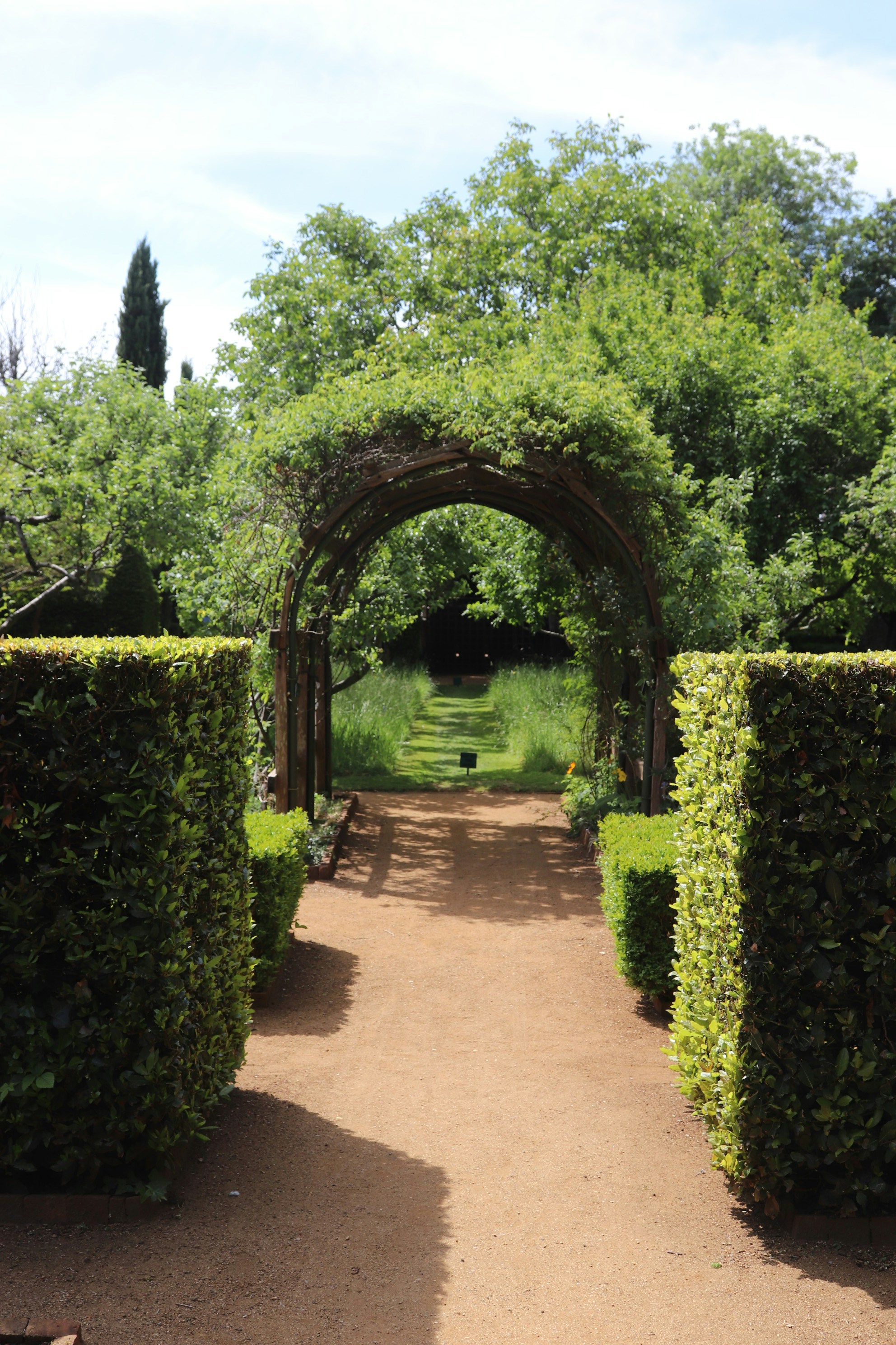 Photo by tanyabarrow