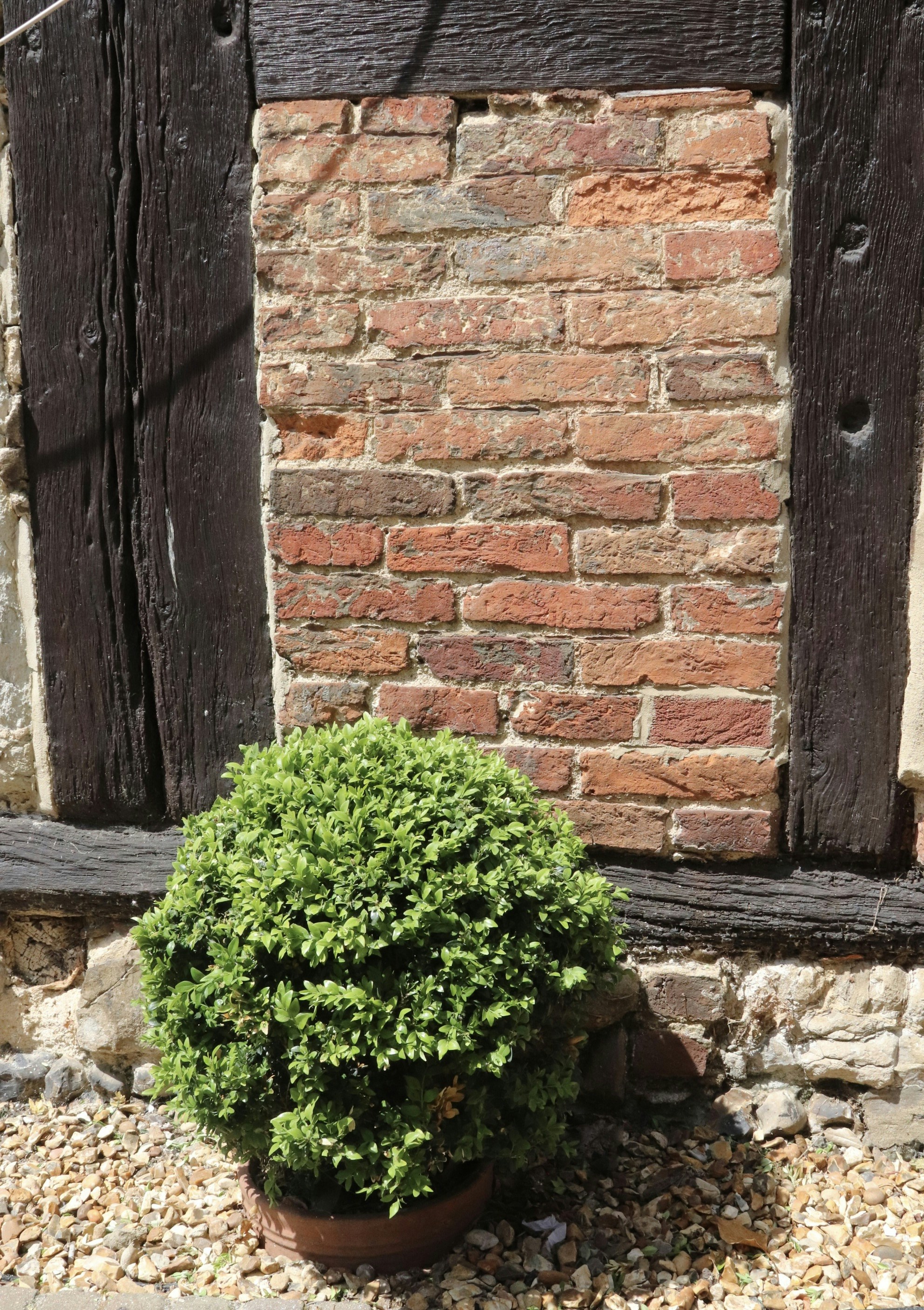 Photo by tanyabarrow