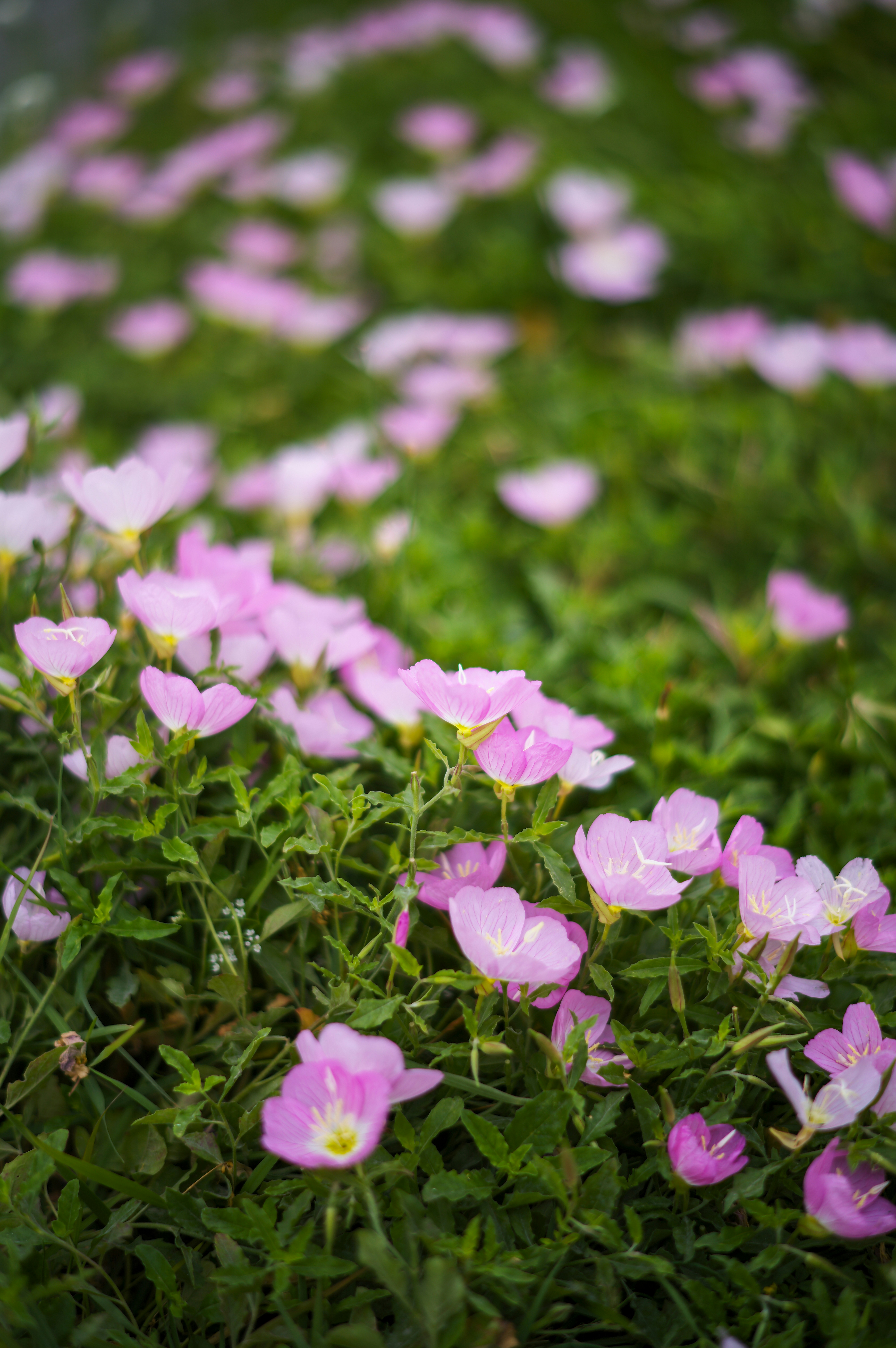 Photo by streetbyben