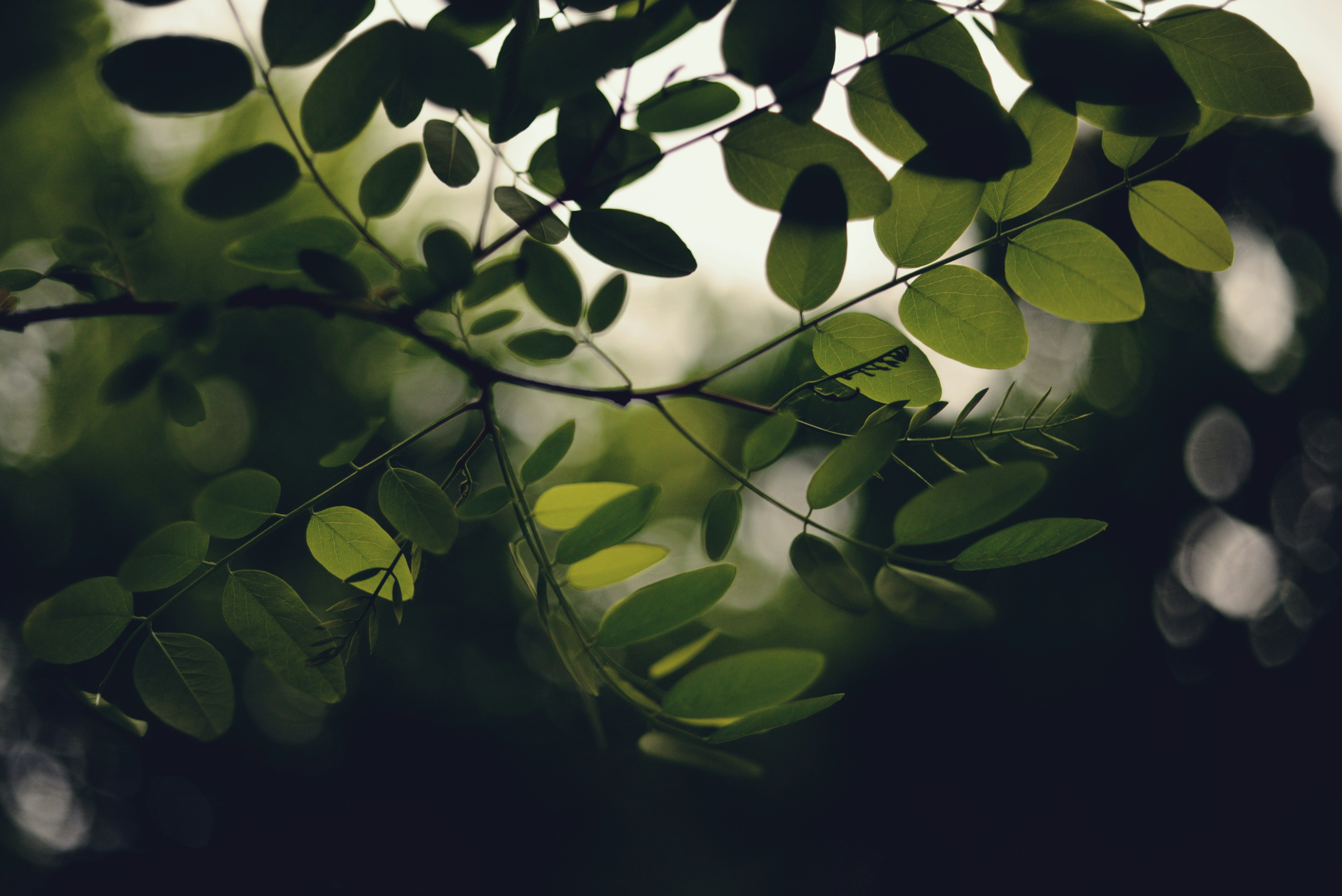 Photo by cherstve_pechivo