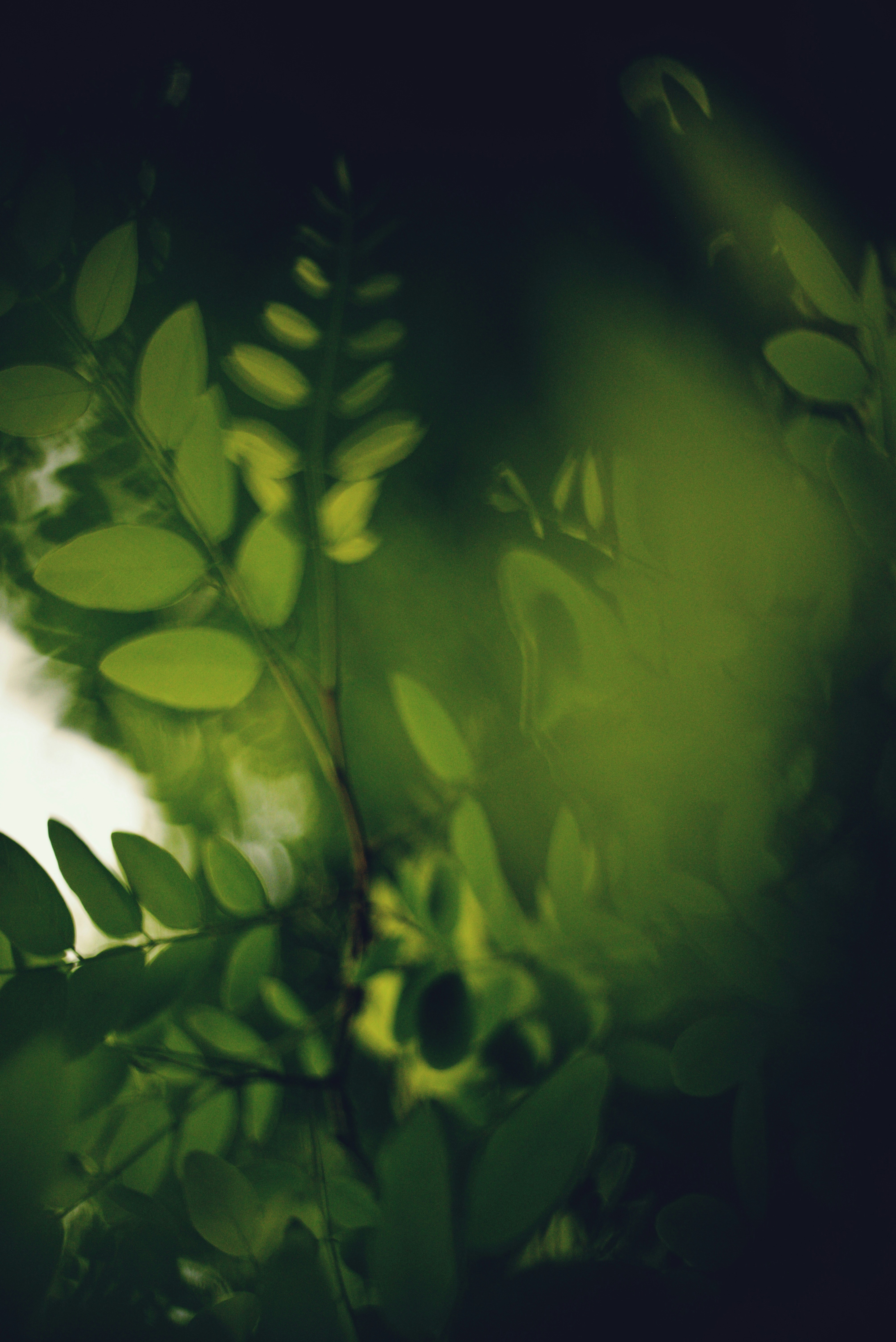 Photo by cherstve_pechivo