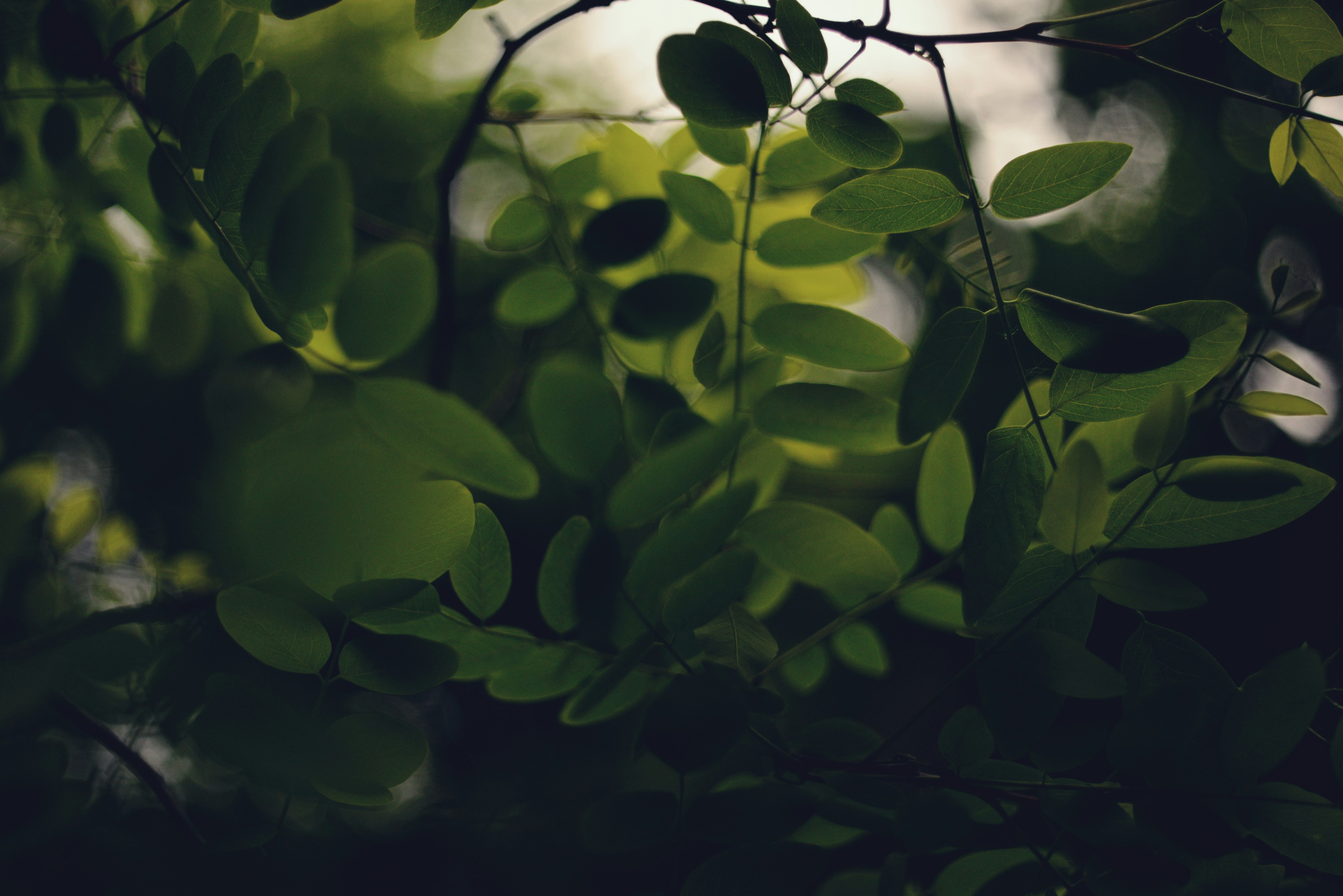 Photo by cherstve_pechivo