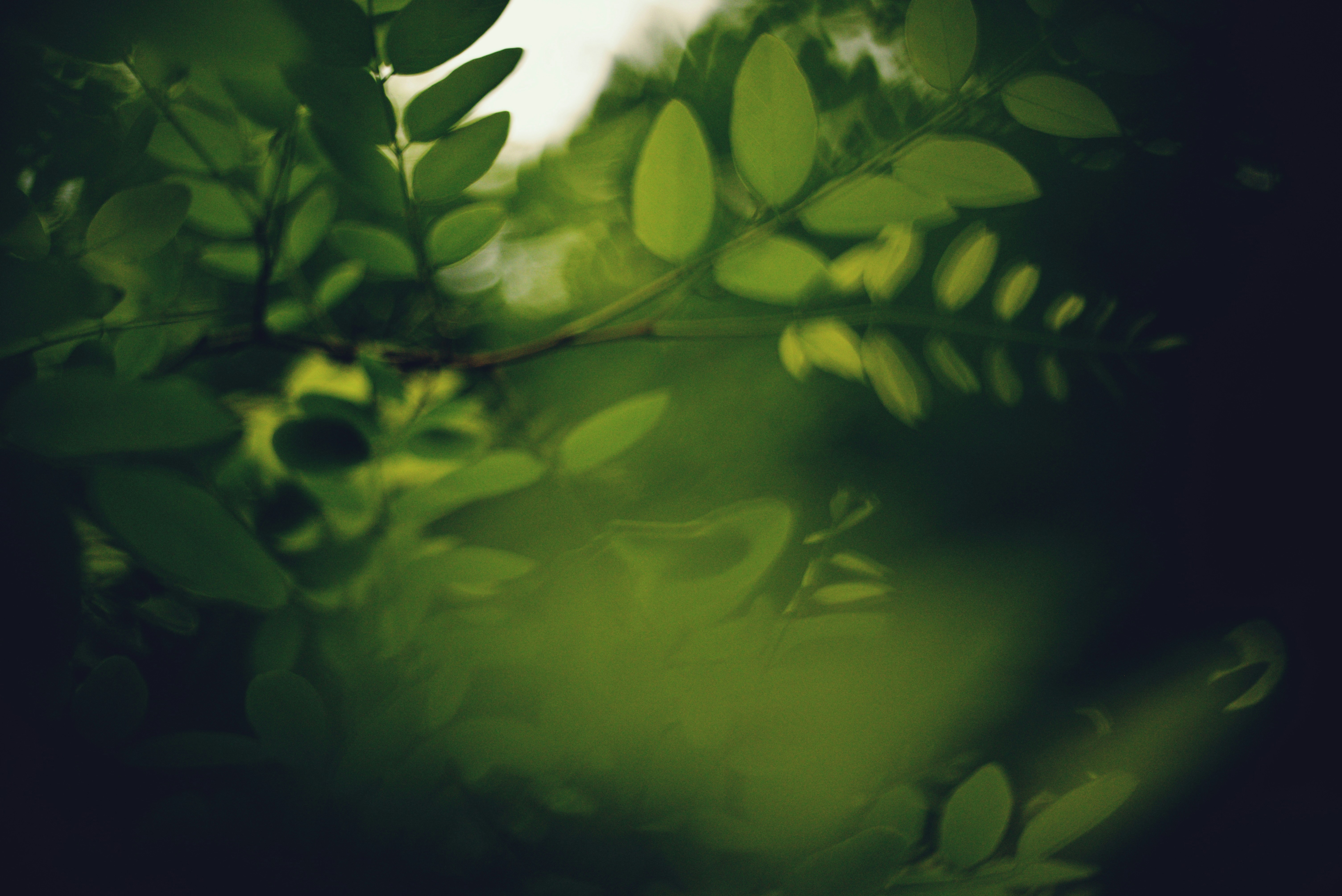 Photo by cherstve_pechivo