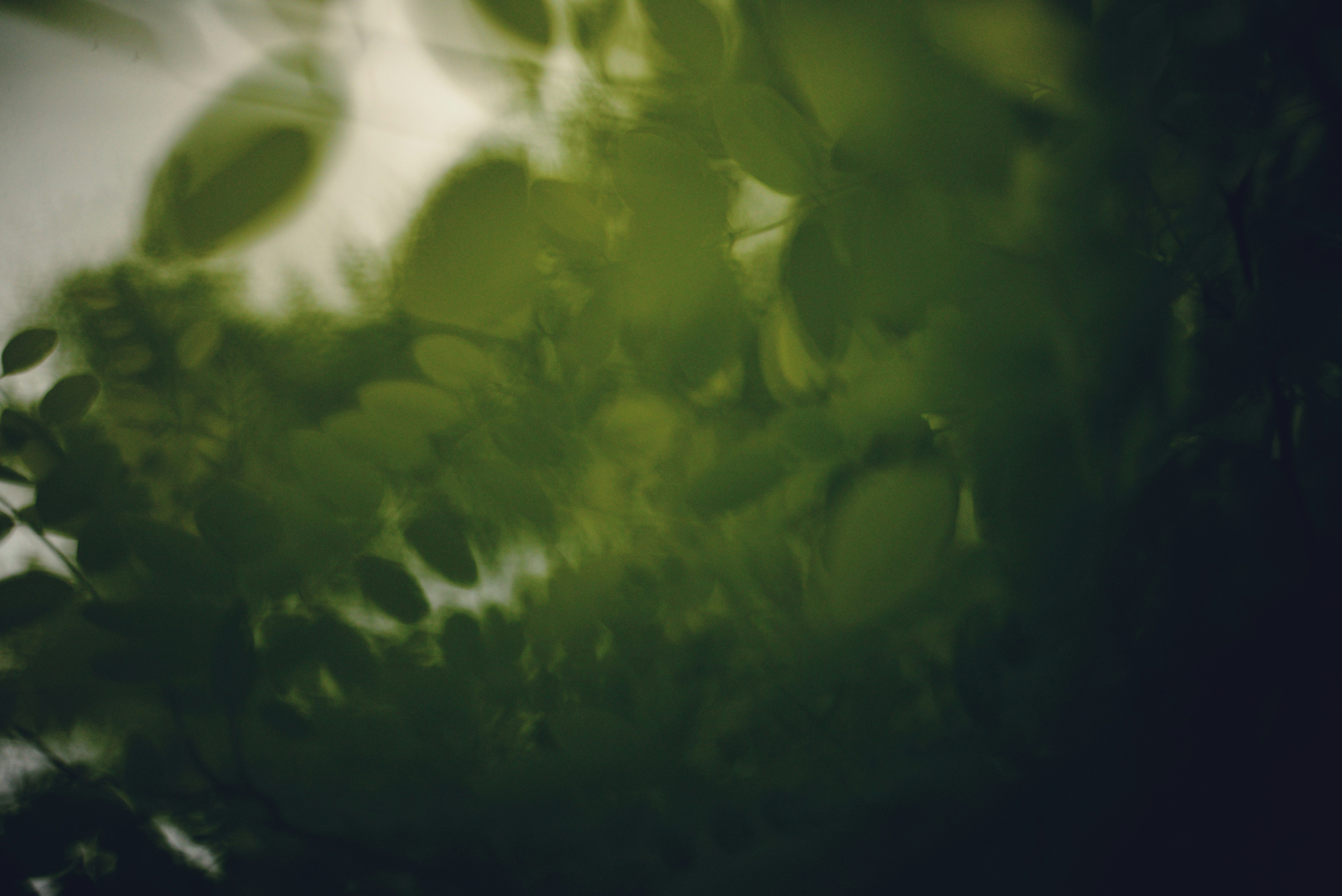 Photo by cherstve_pechivo