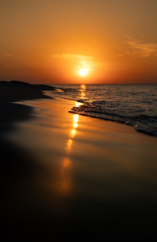 Premium 4-Course Sunset Dinner Cruise