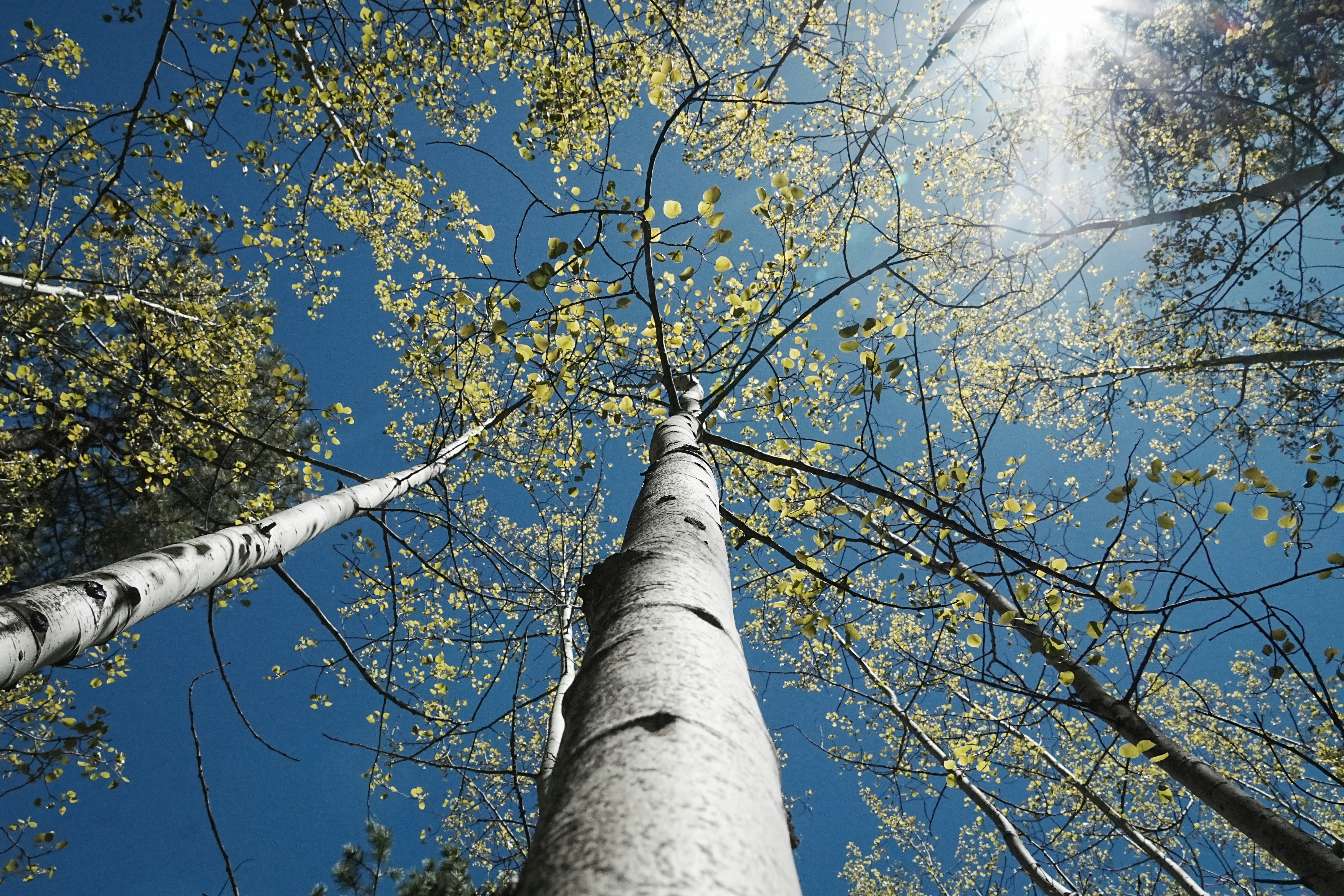 Photo by jcnonstop87