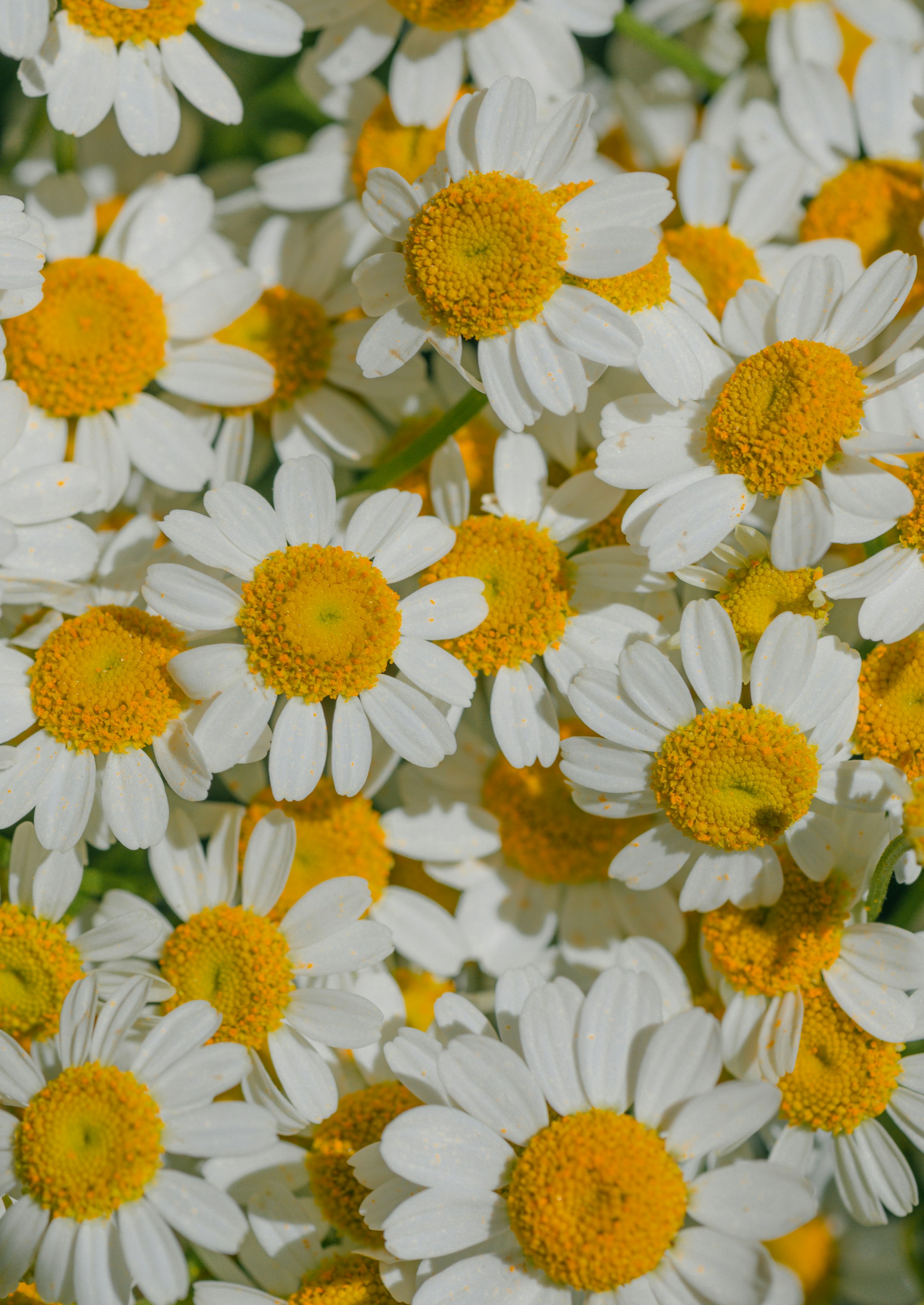 Photo by renatakneedham