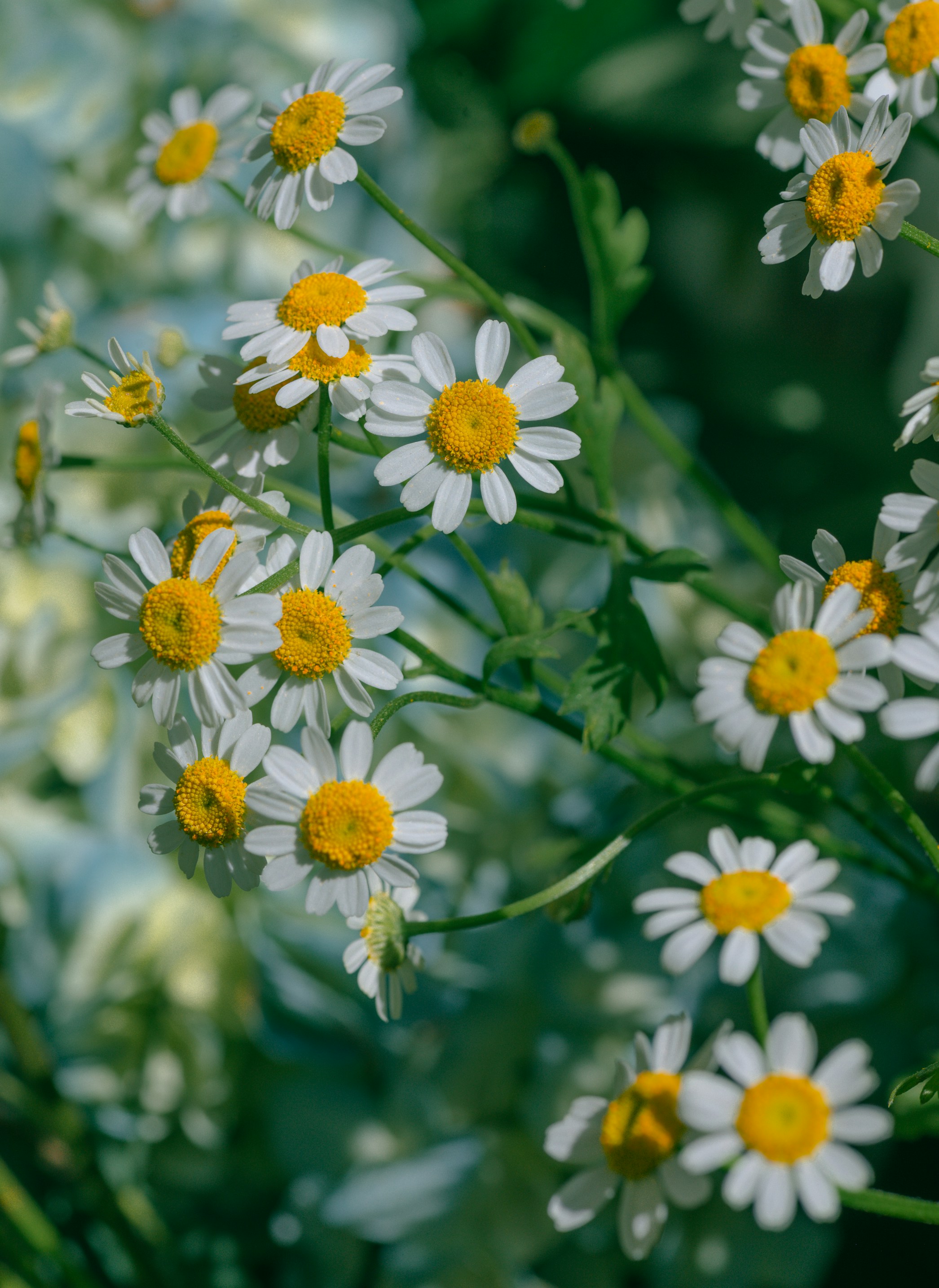 Photo by renatakneedham