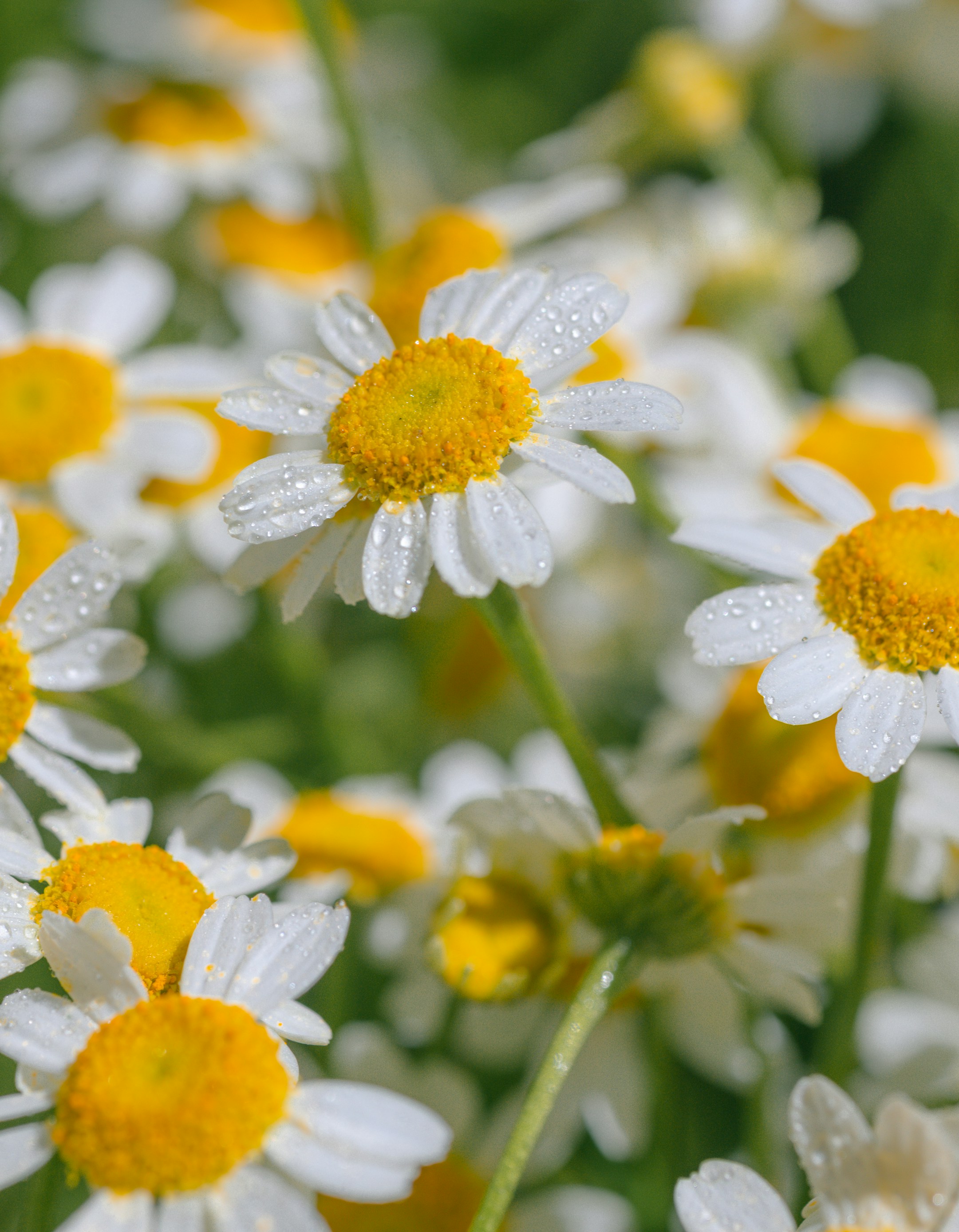 Photo by renatakneedham