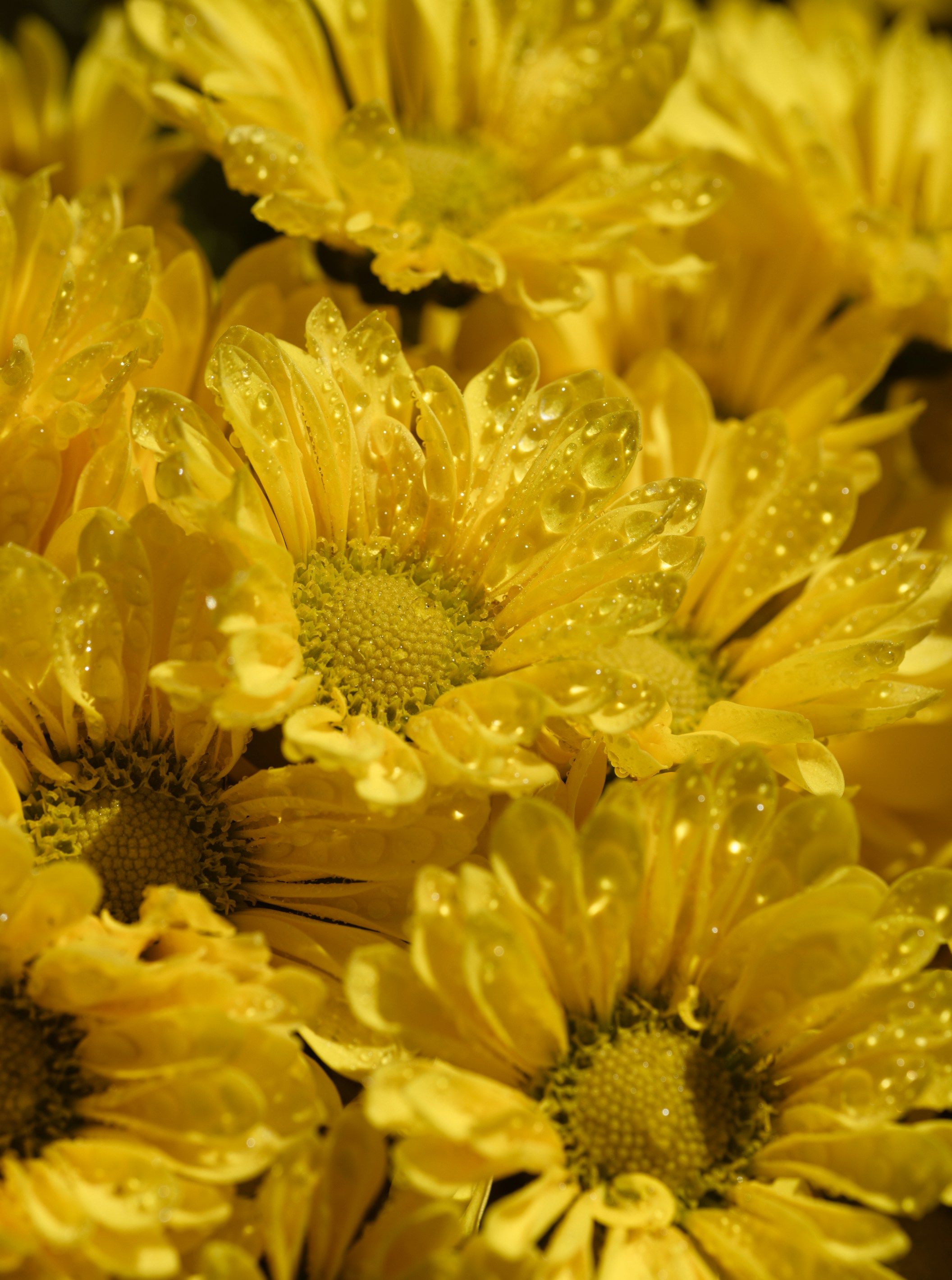 Photo by renatakneedham