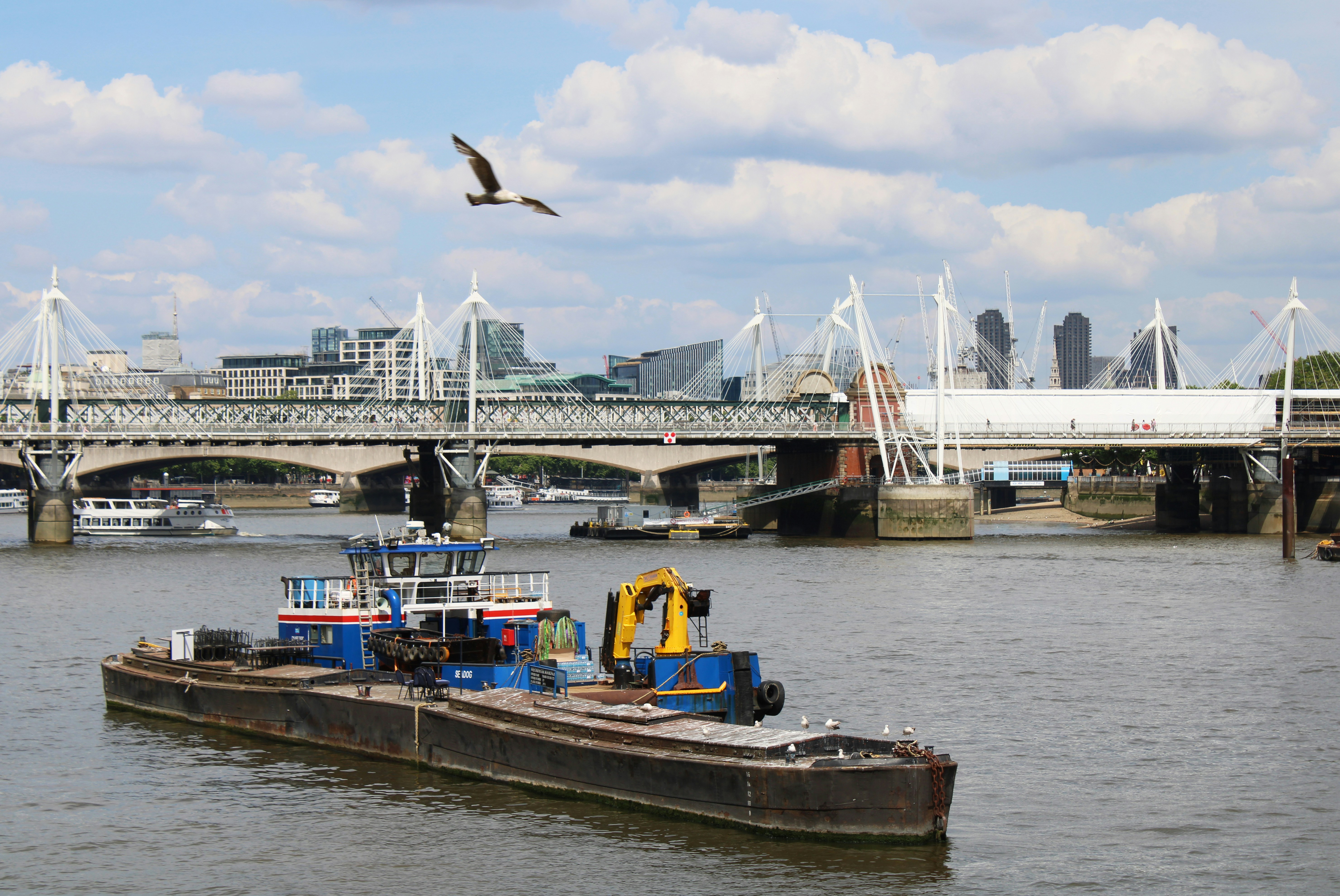 Photo by seymourtseng